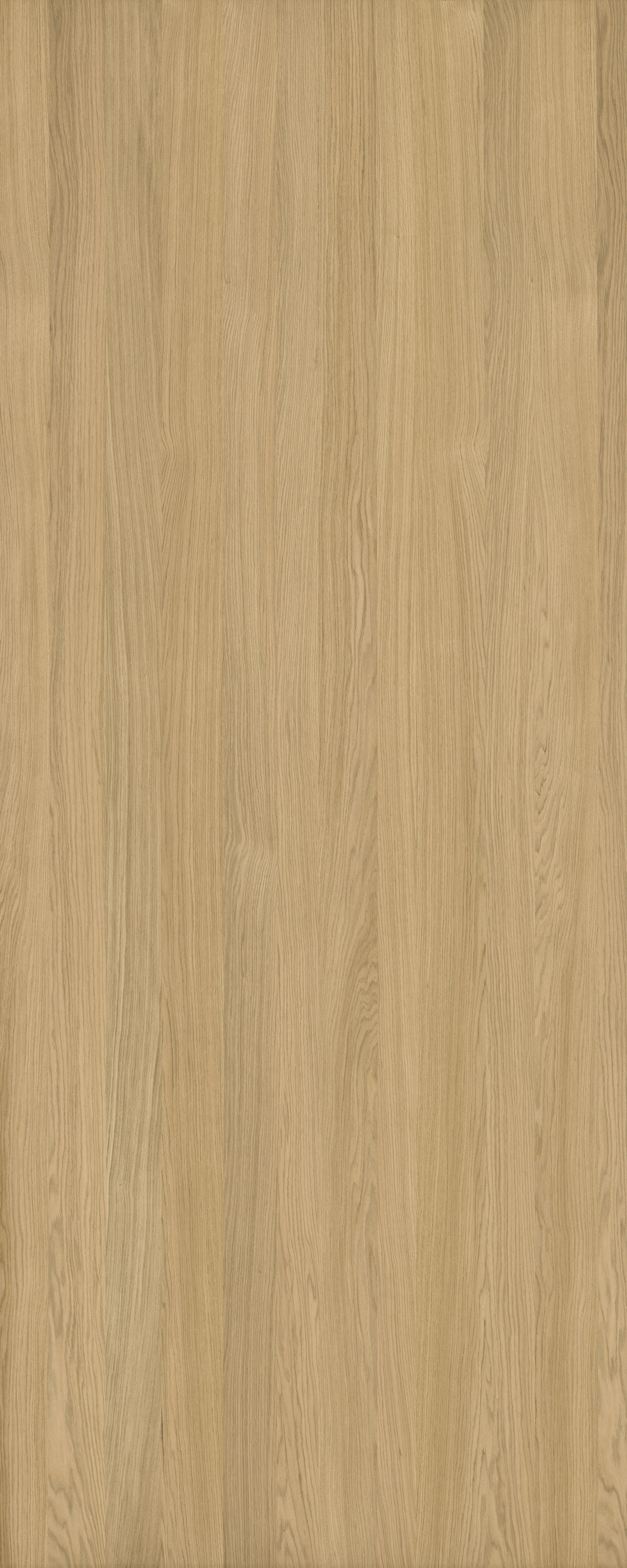 picture alternative text