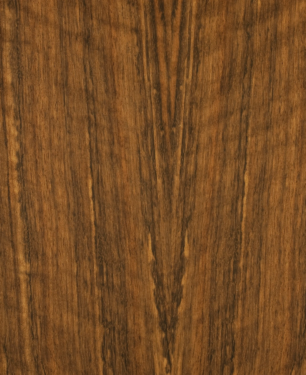 picture alternative text