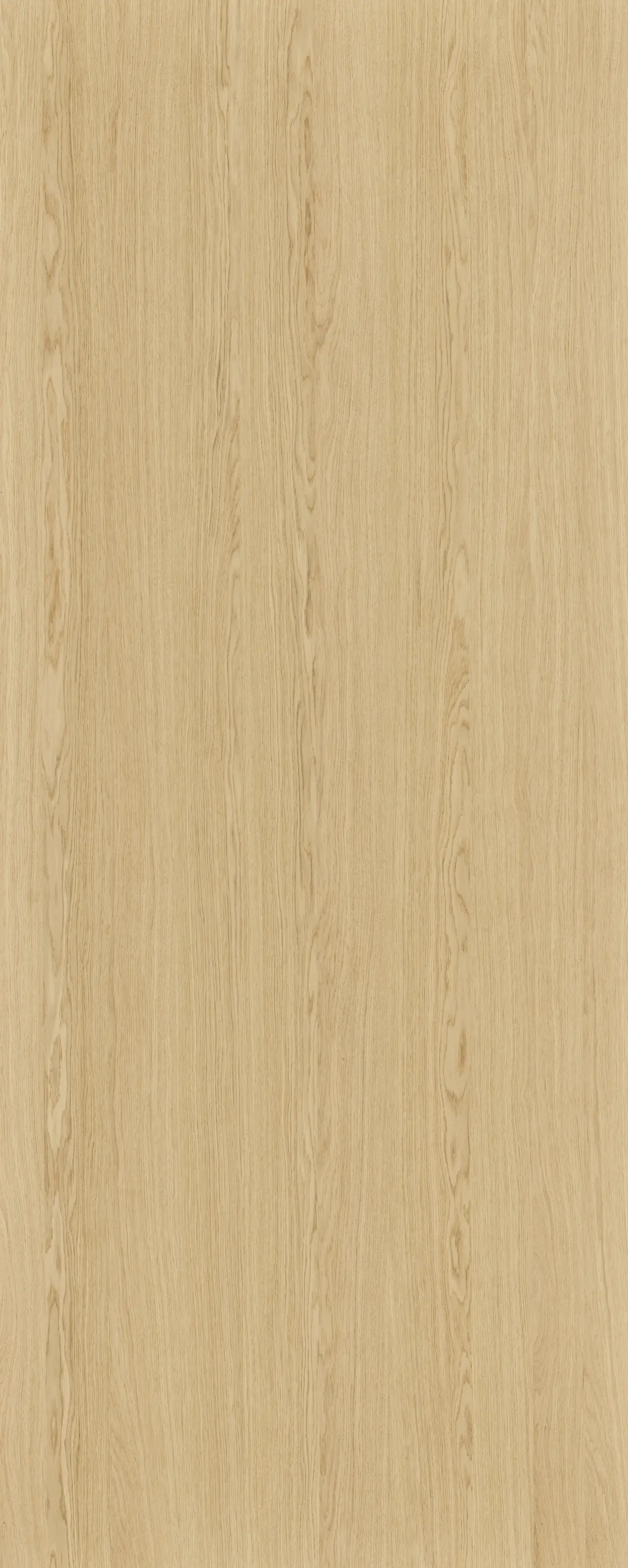 picture alternative text