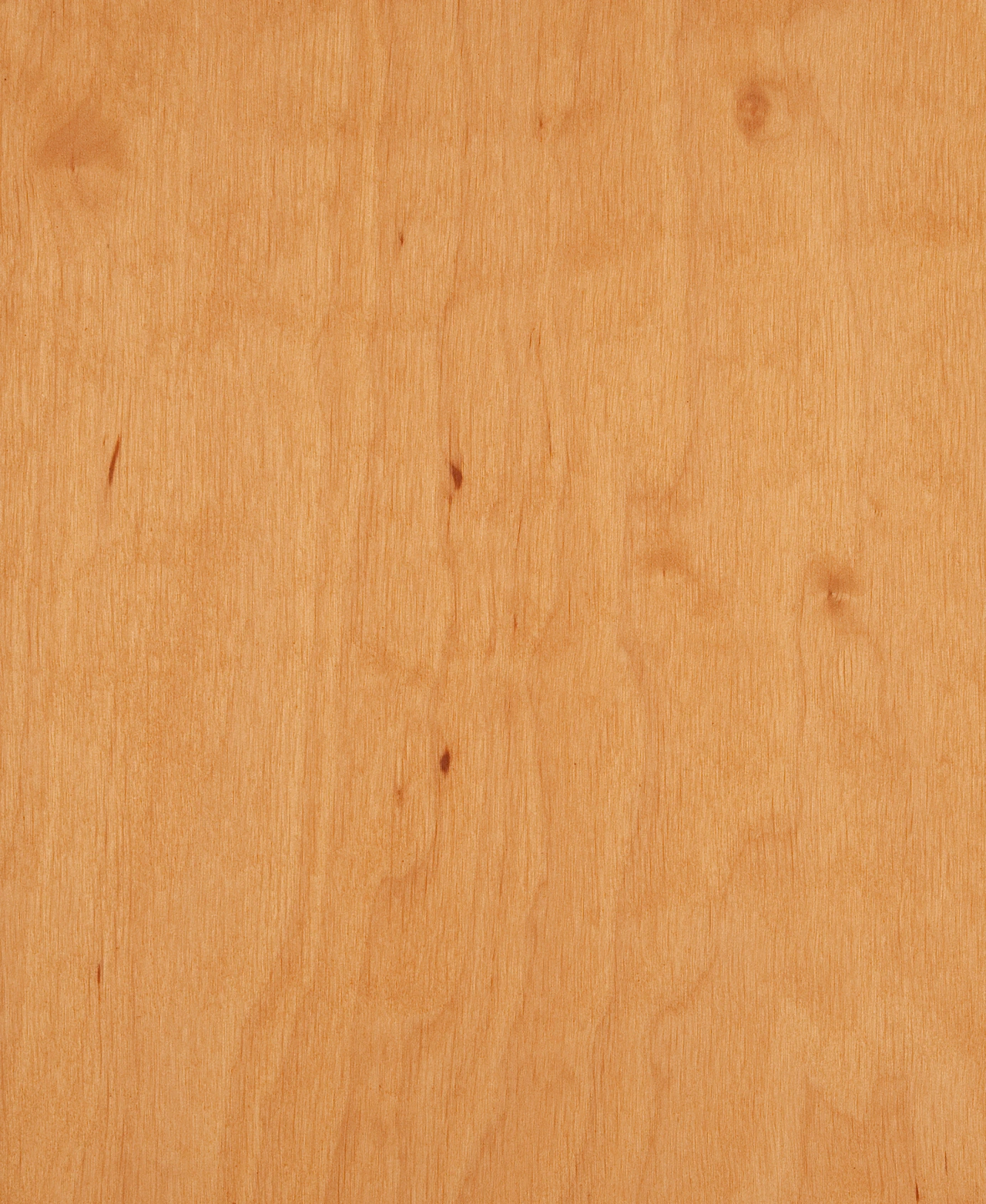 picture alternative text