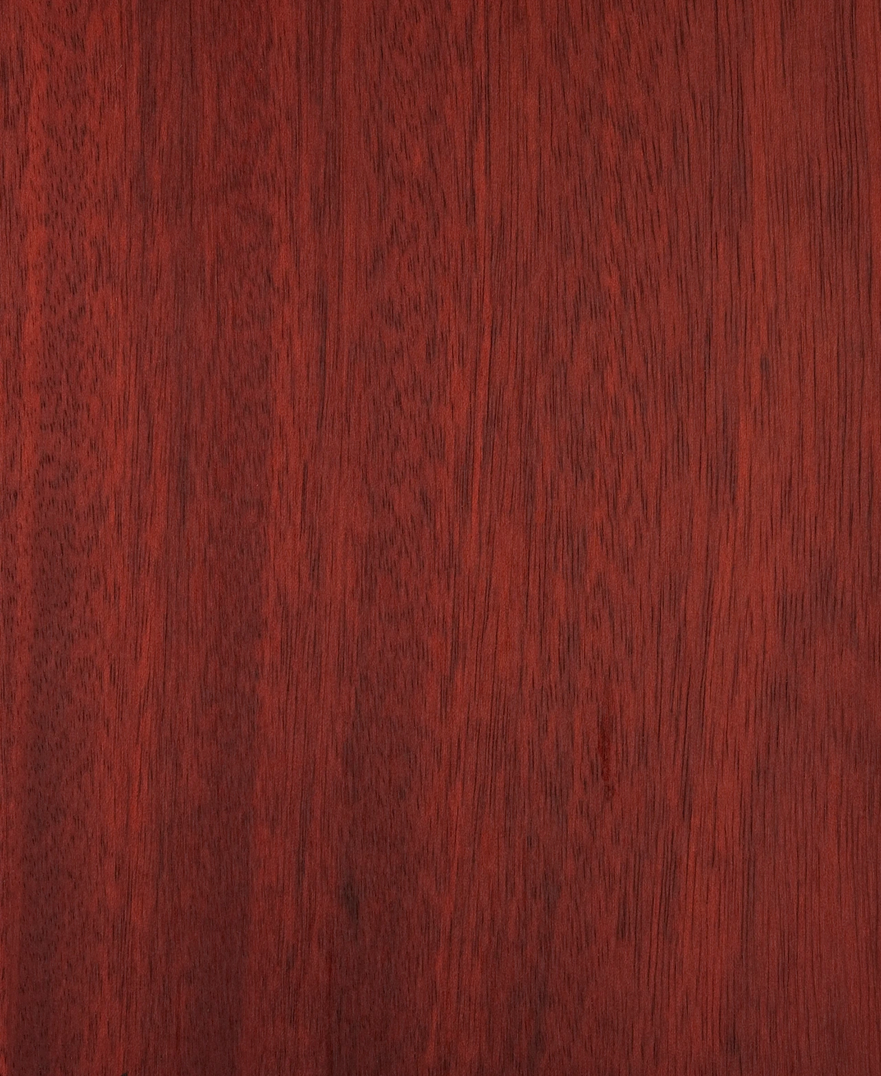 picture alternative text