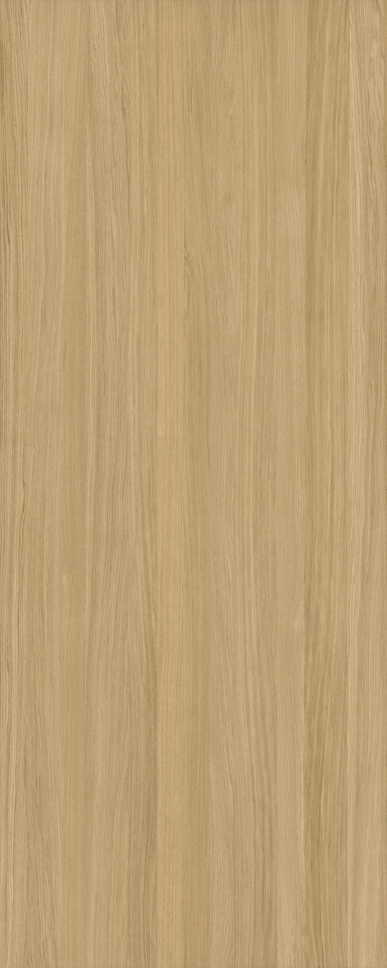 picture alternative text