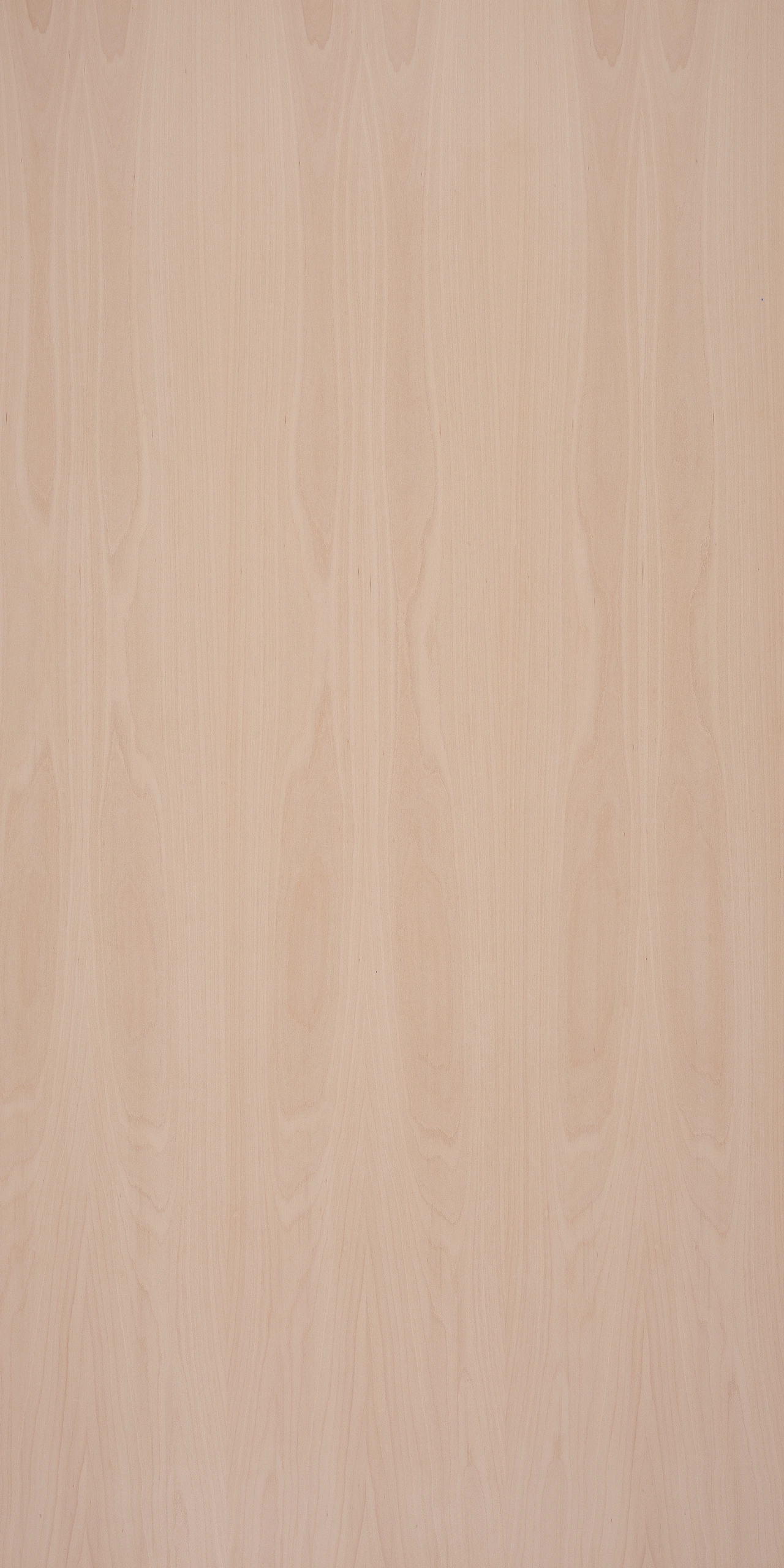 picture alternative text