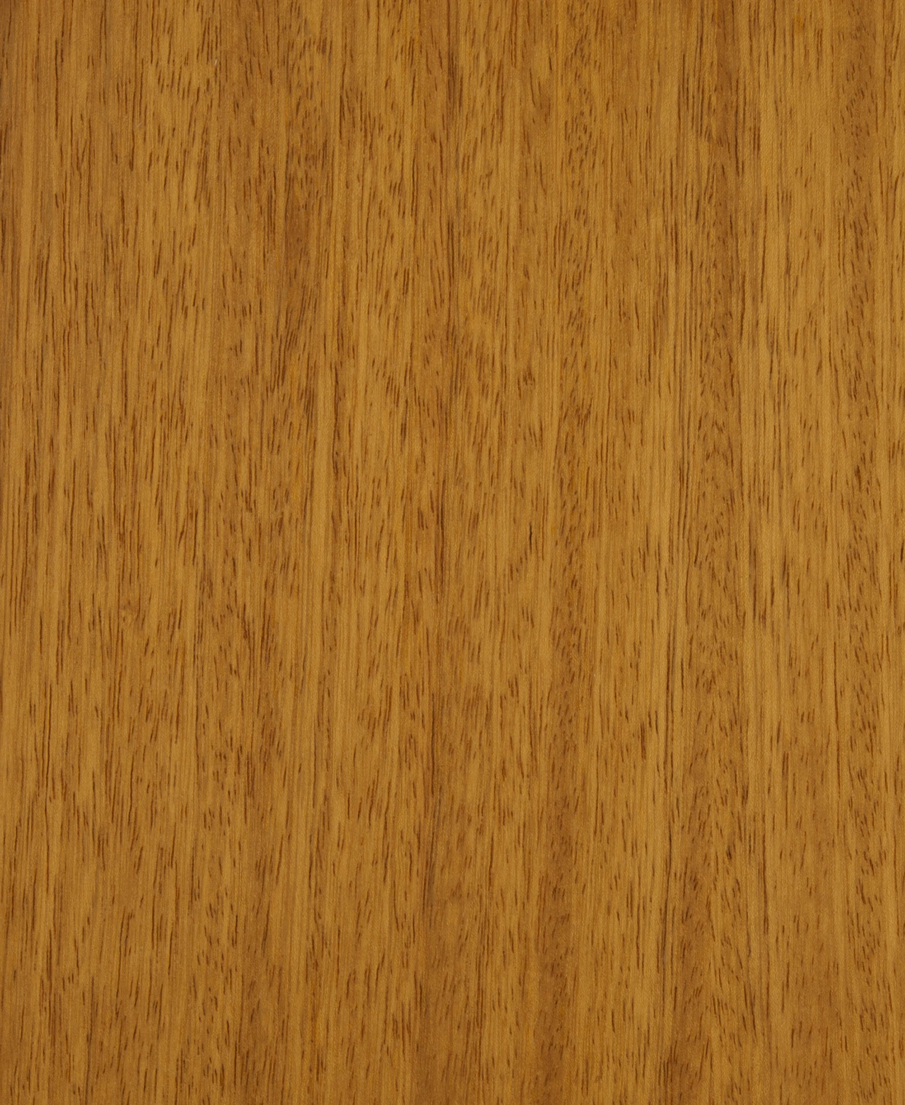 picture alternative text