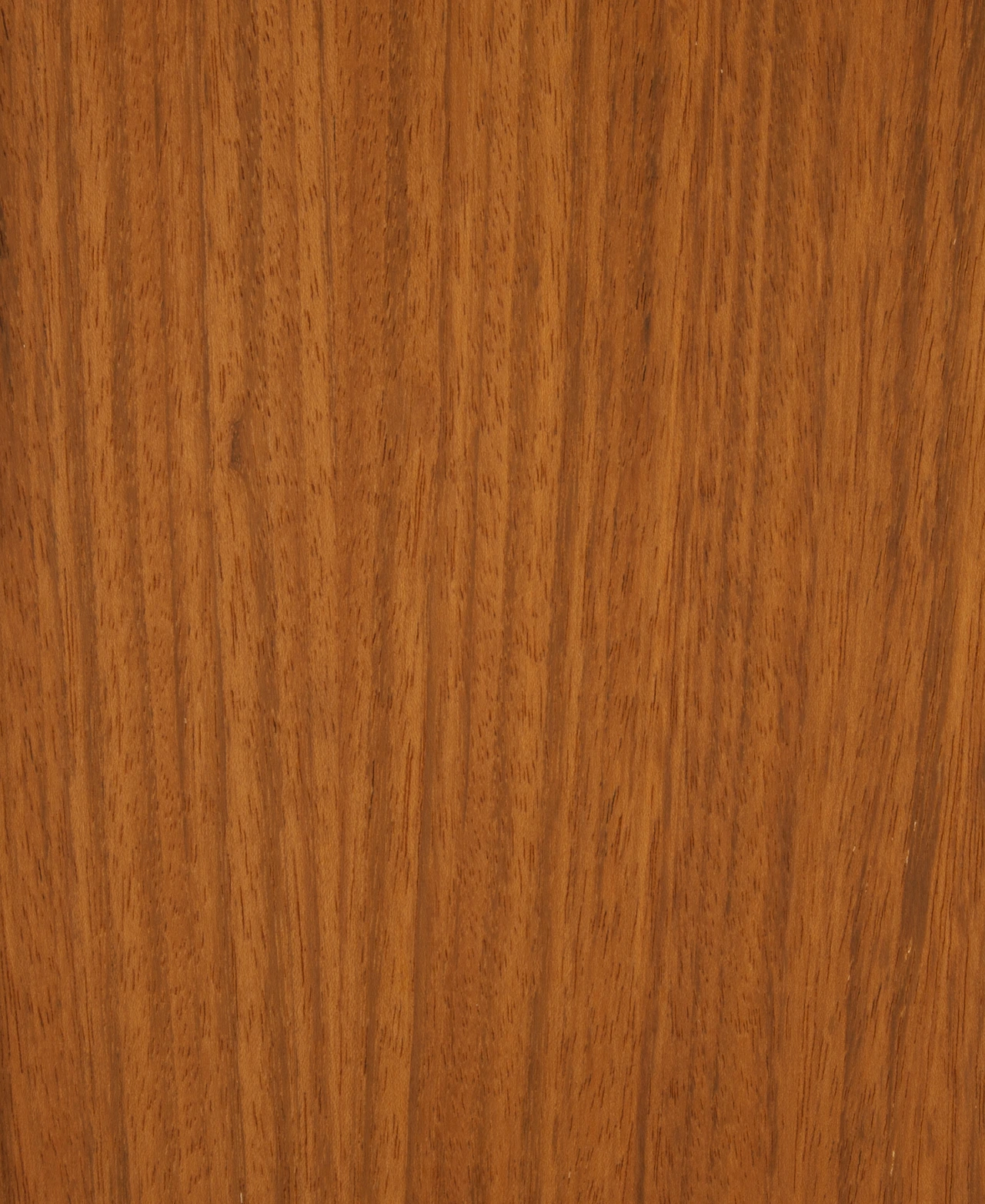 picture alternative text