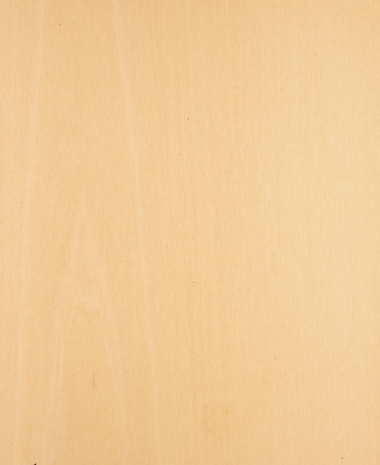 picture alternative text