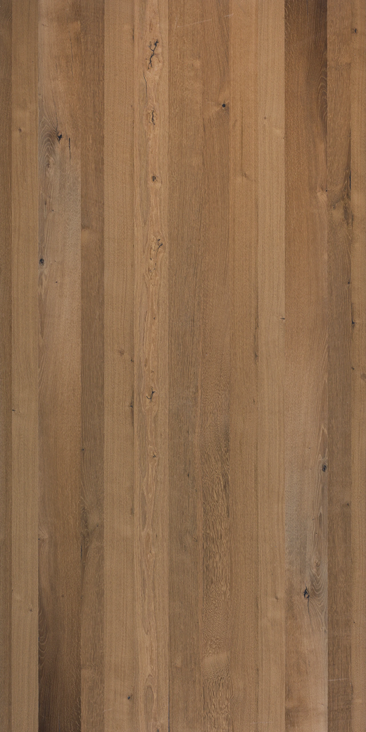 picture alternative text