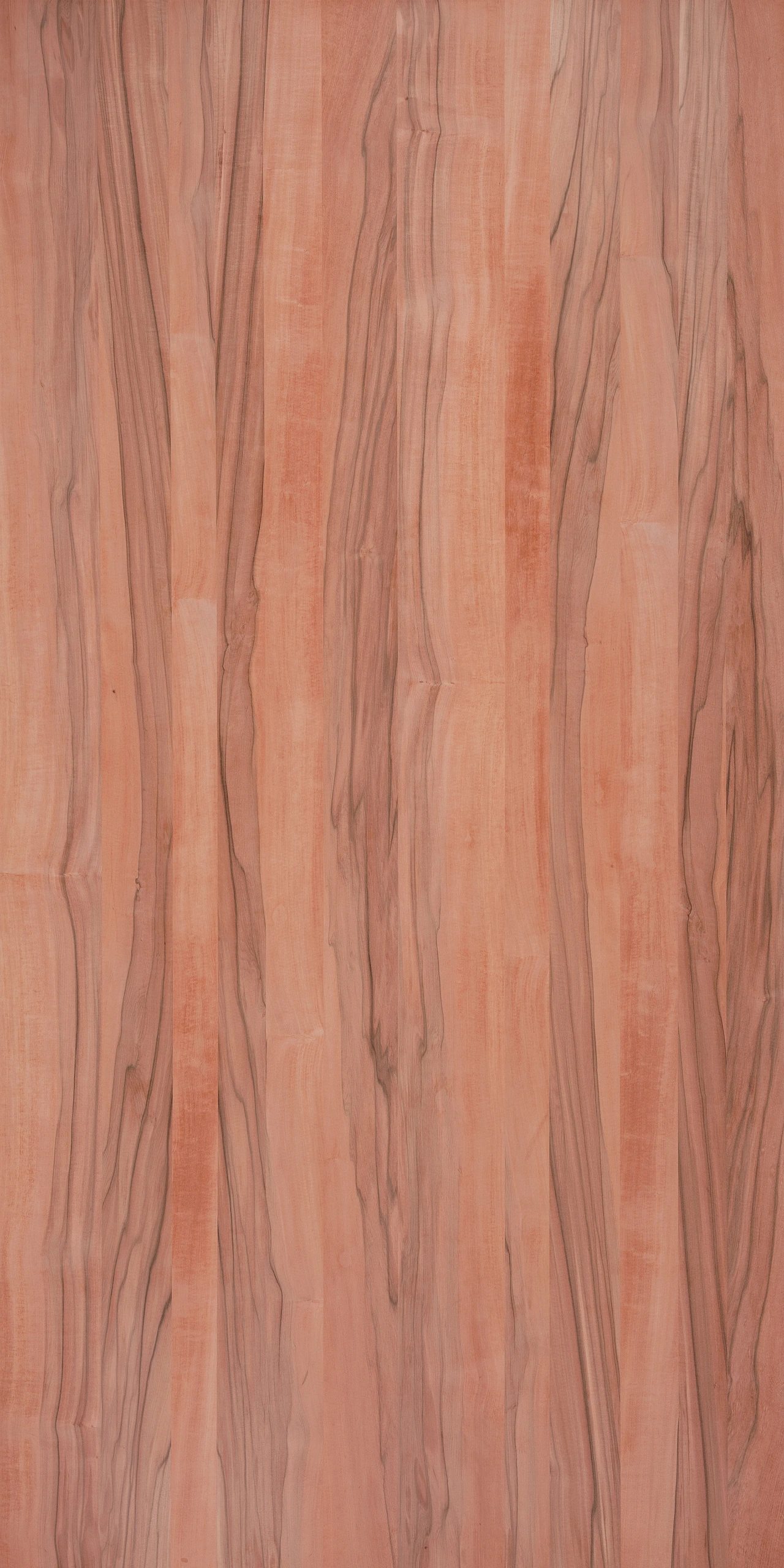 picture alternative text