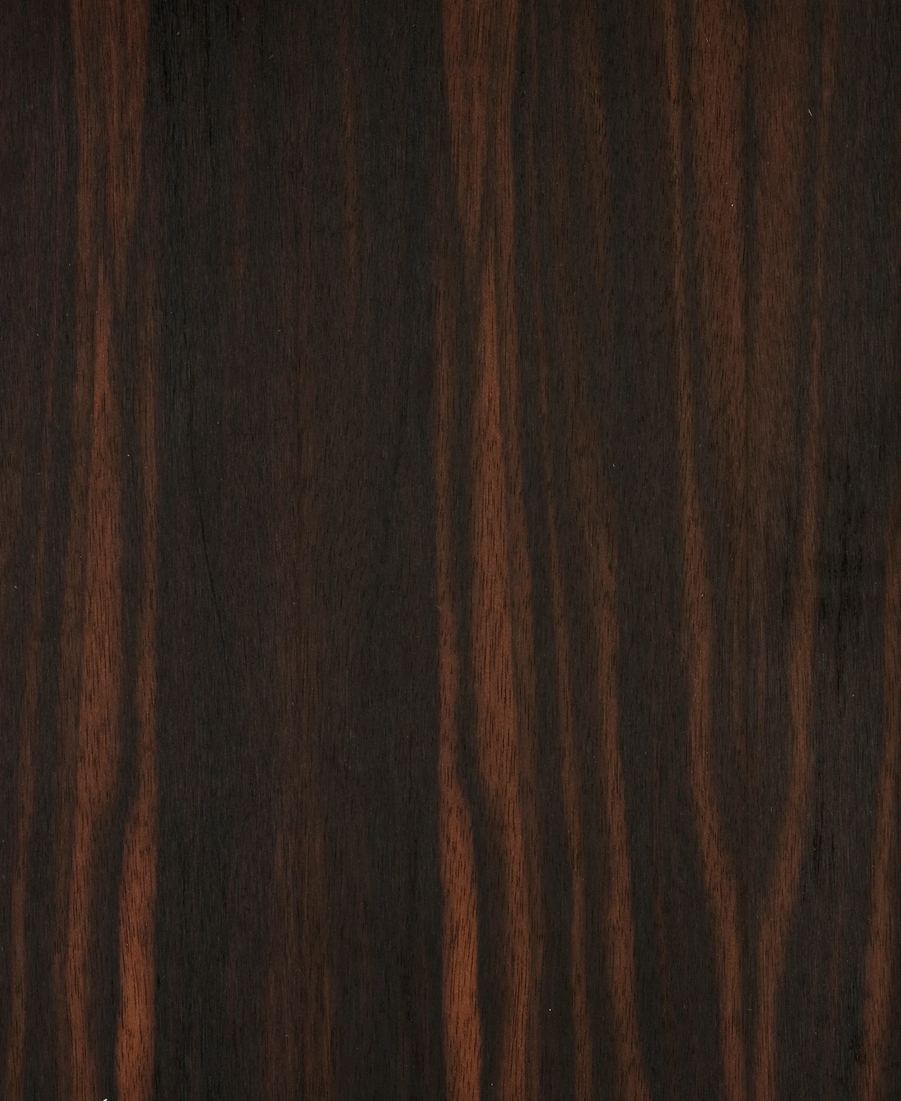 picture alternative text