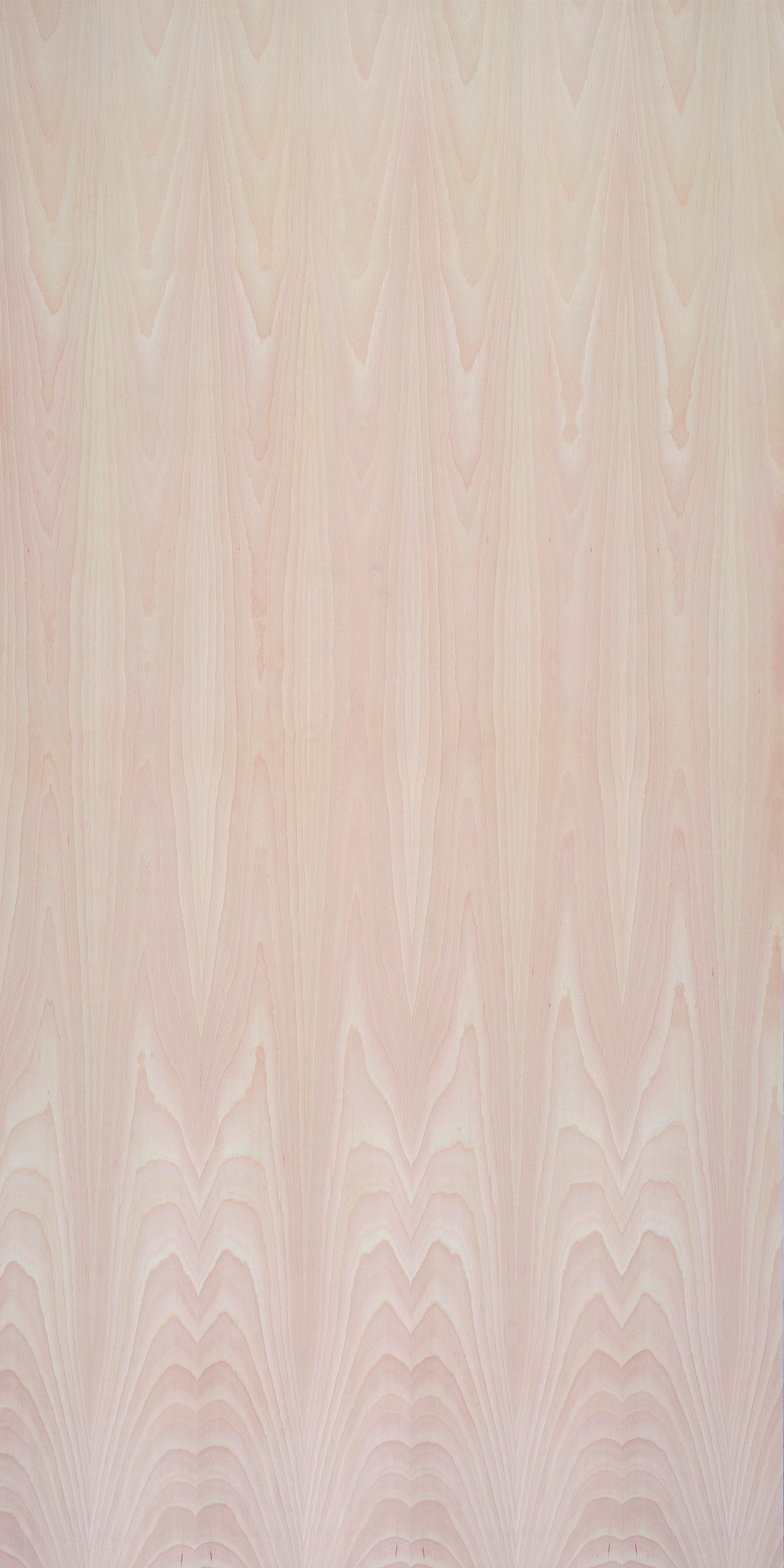 picture alternative text