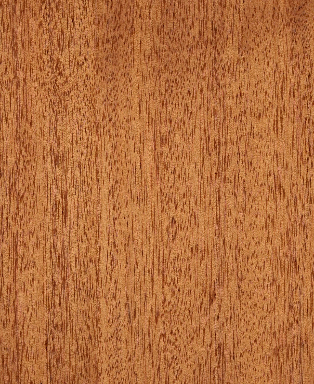 picture alternative text