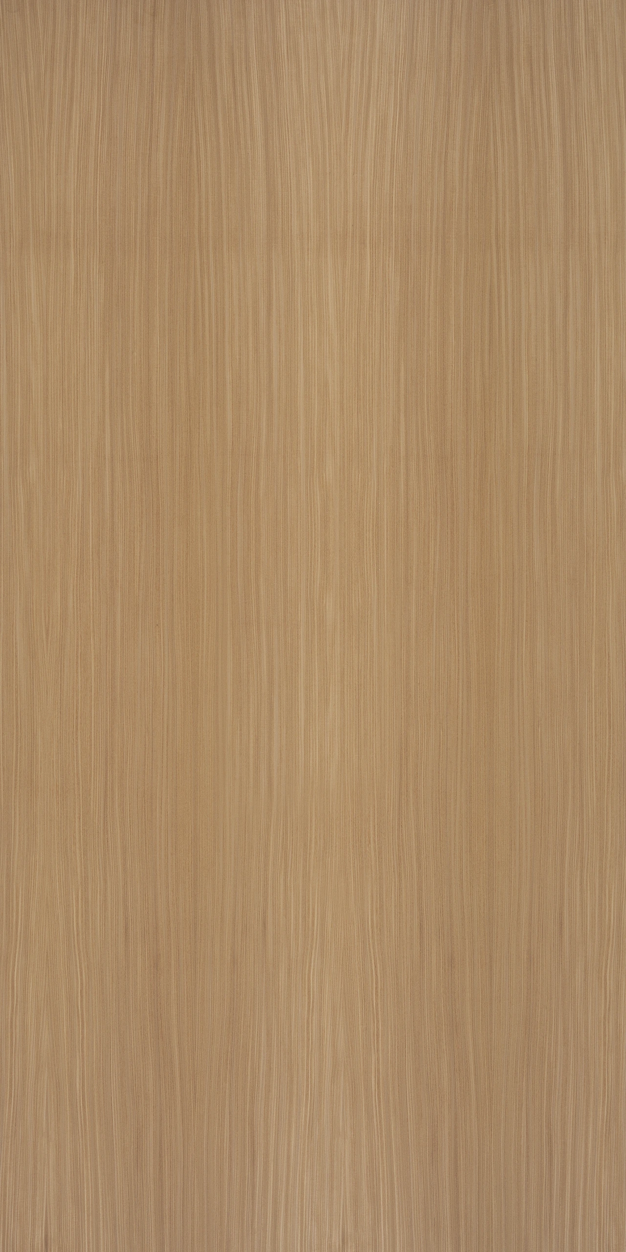 picture alternative text