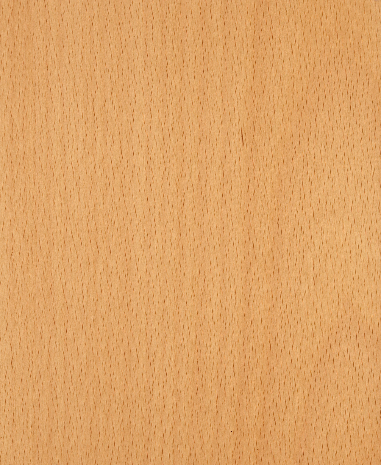 picture alternative text