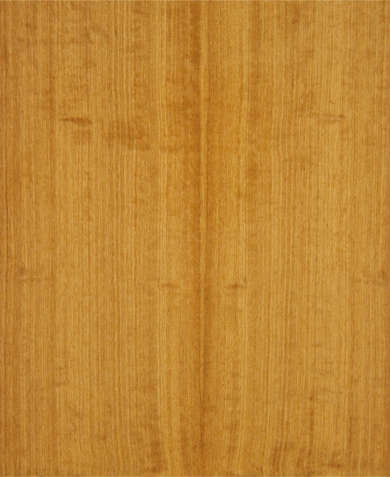 picture alternative text