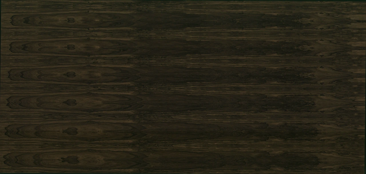 picture alternative text