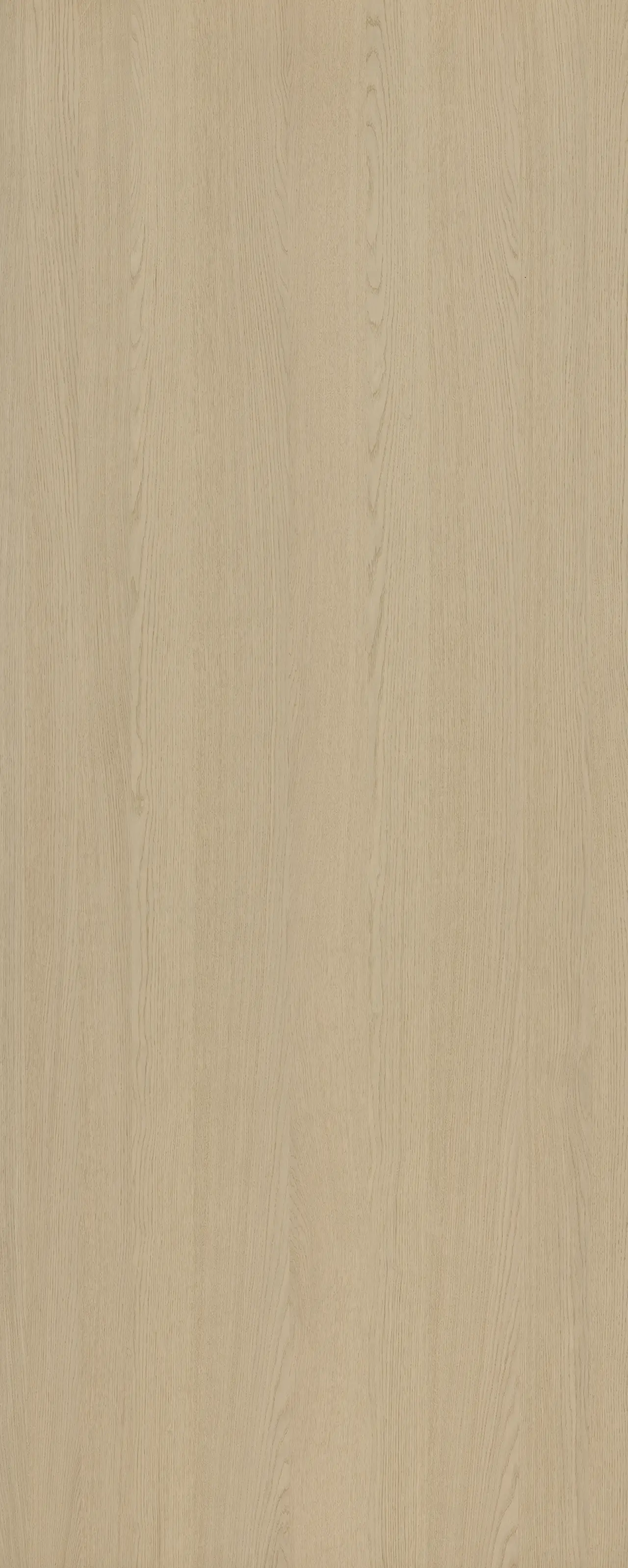 picture alternative text