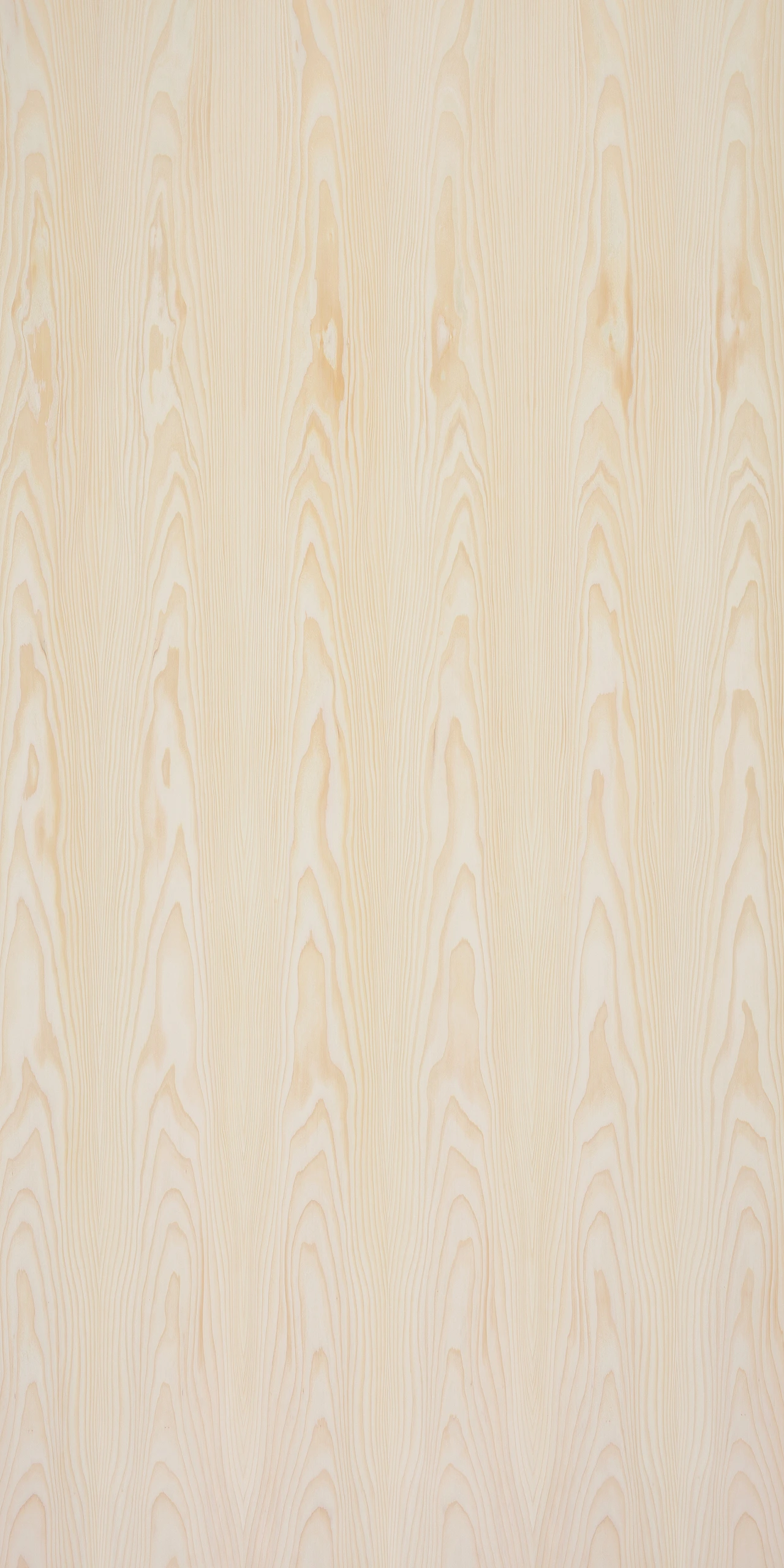 picture alternative text