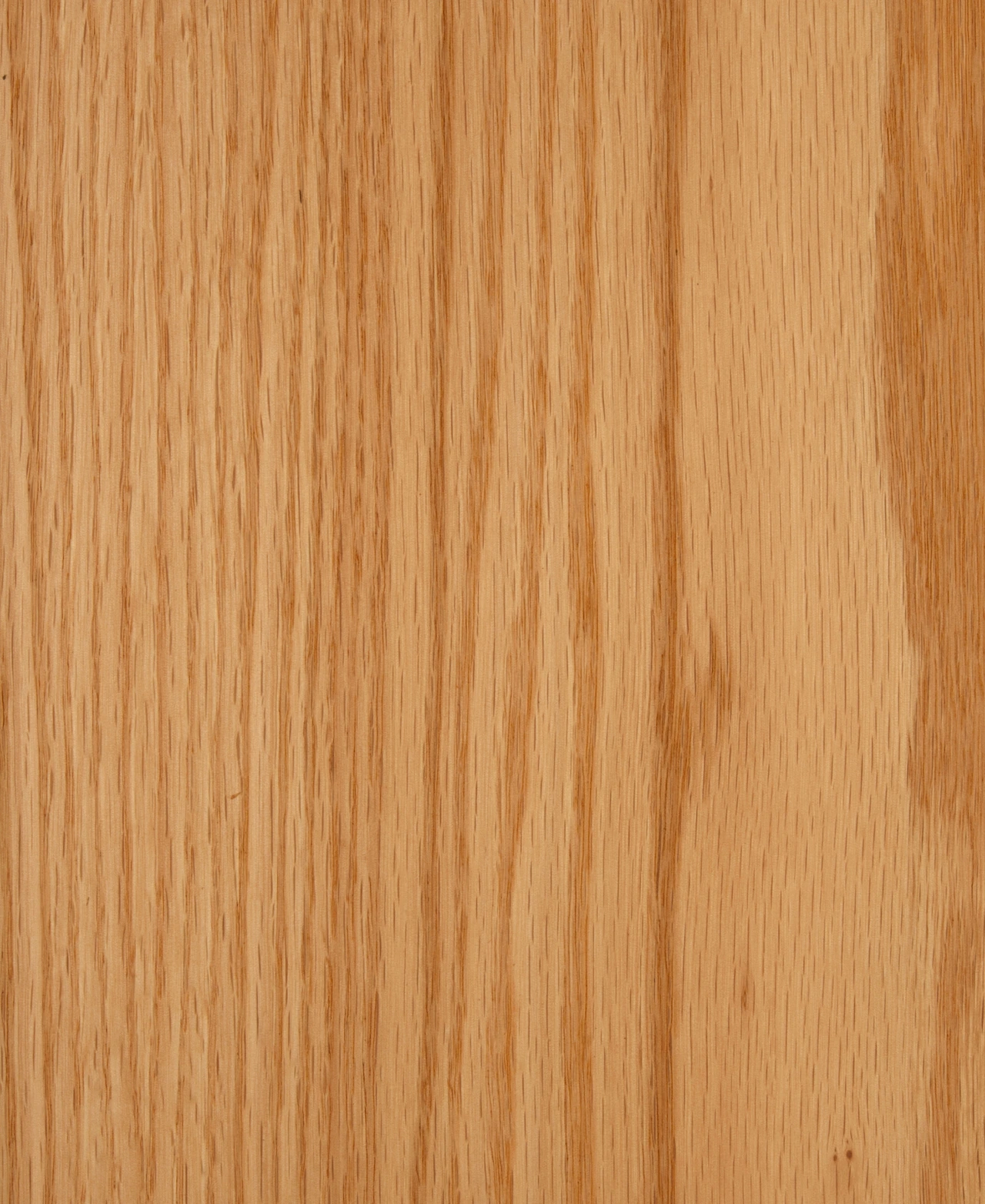 picture alternative text