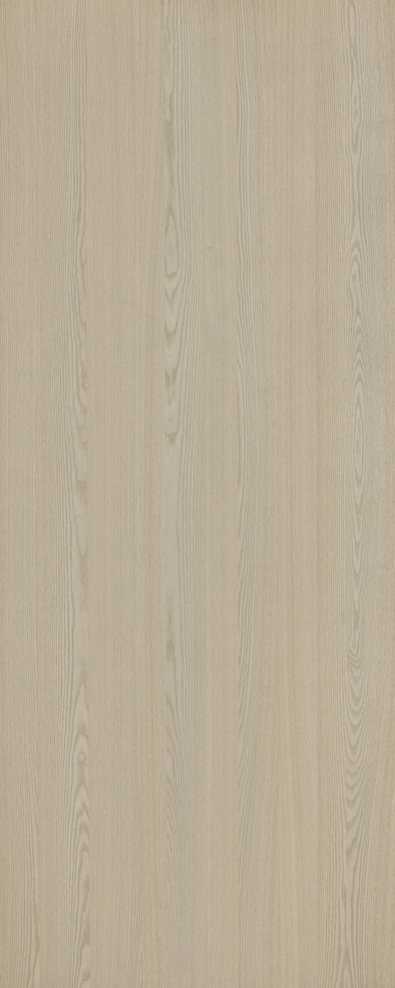 picture alternative text