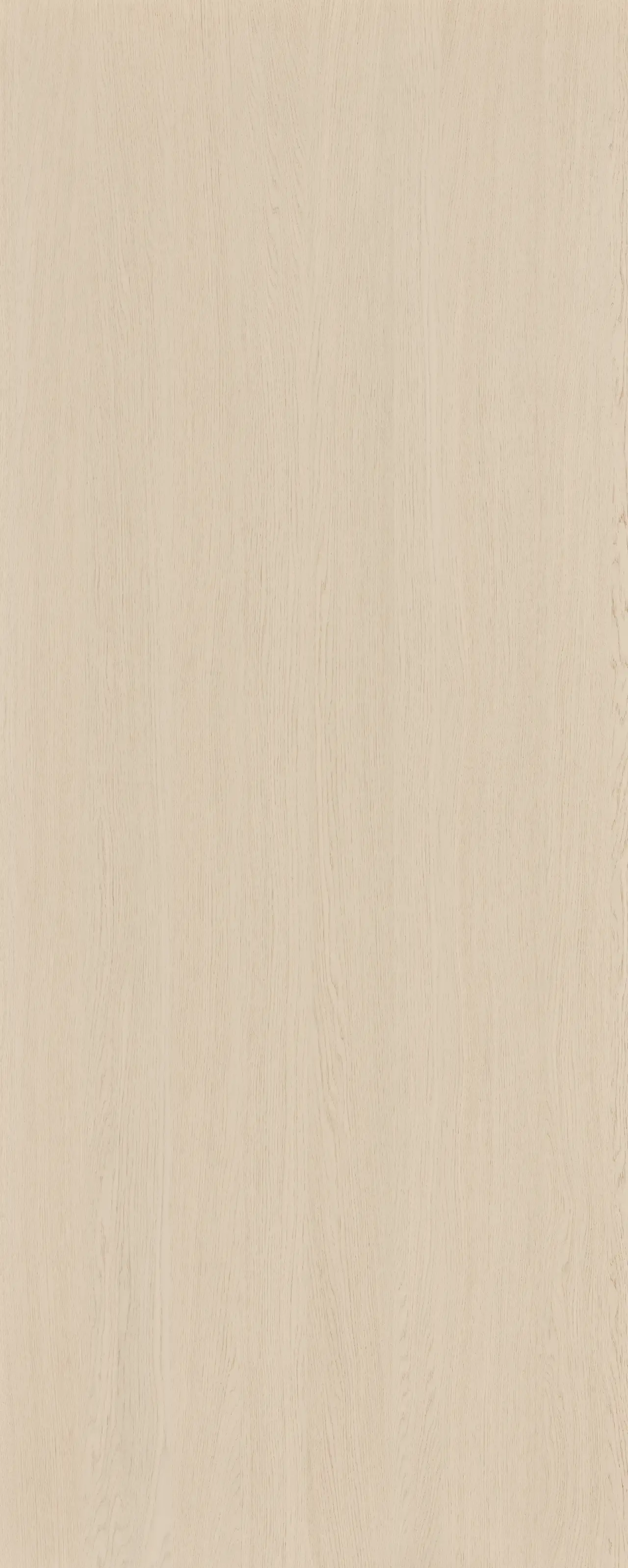 picture alternative text