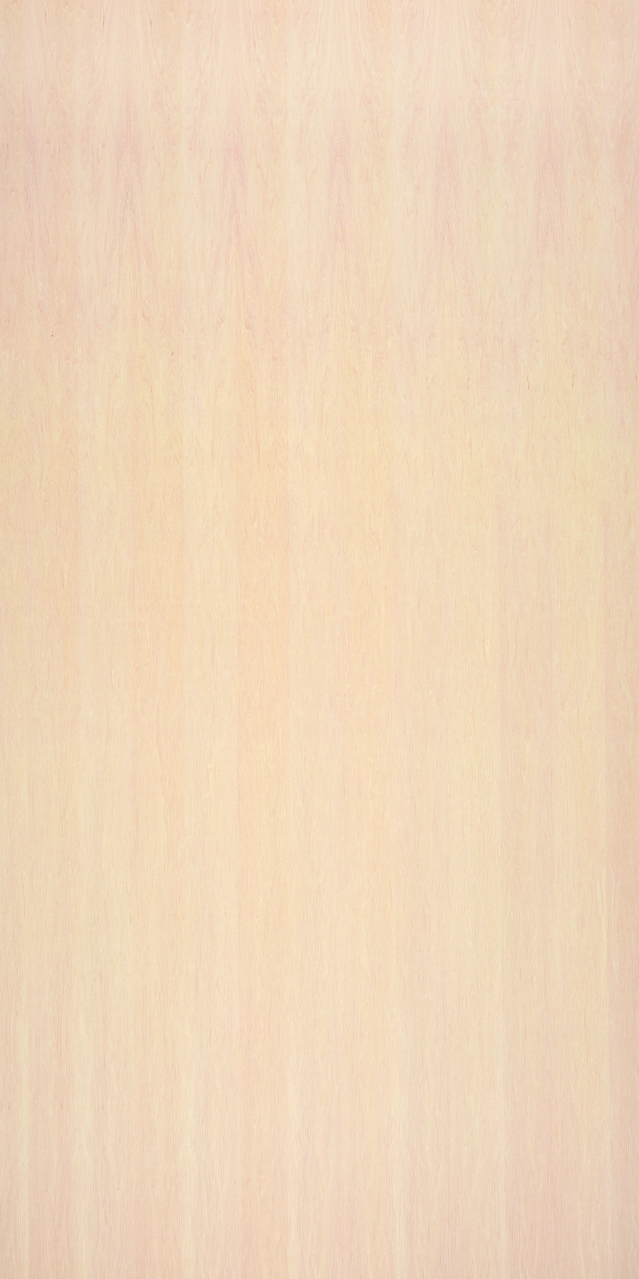 picture alternative text