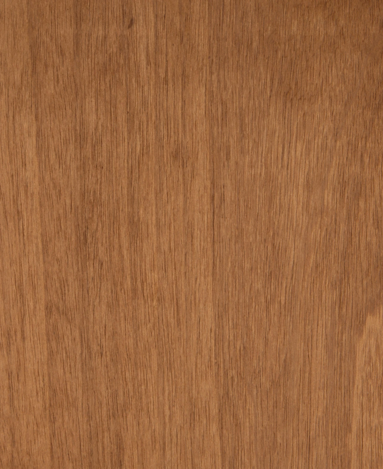 picture alternative text