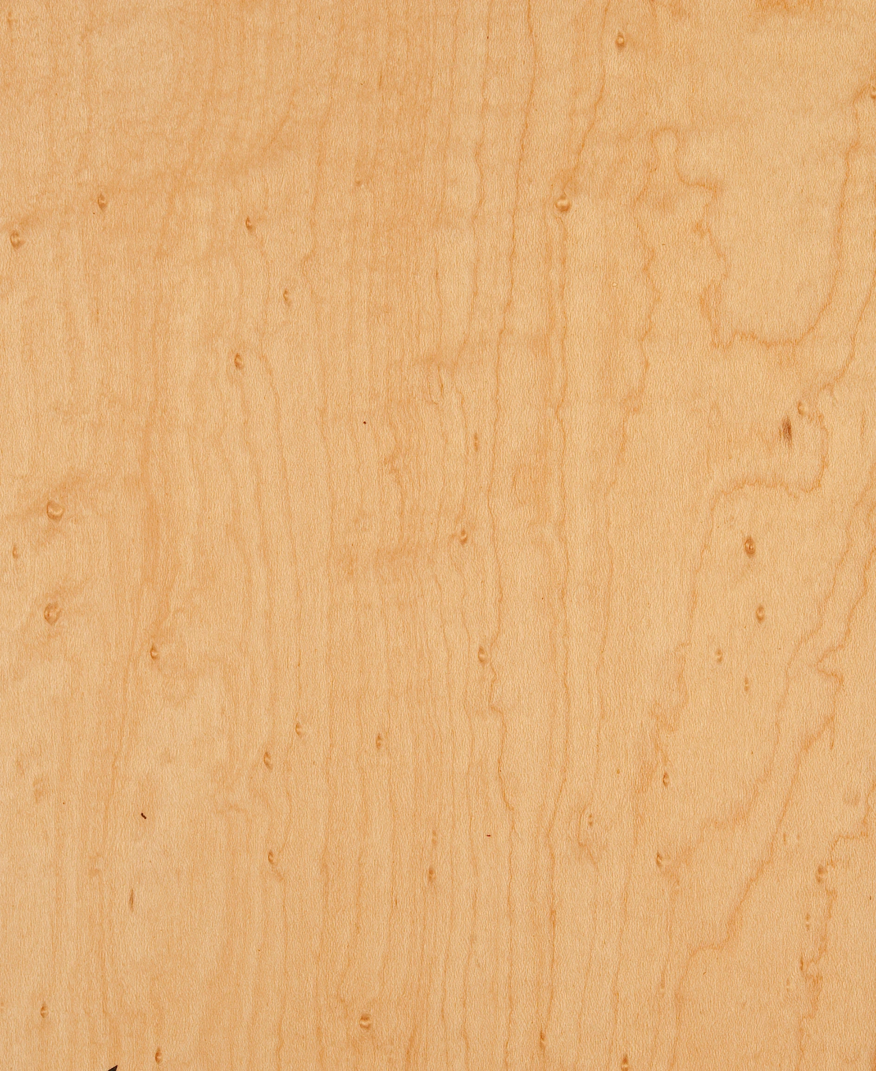 picture alternative text