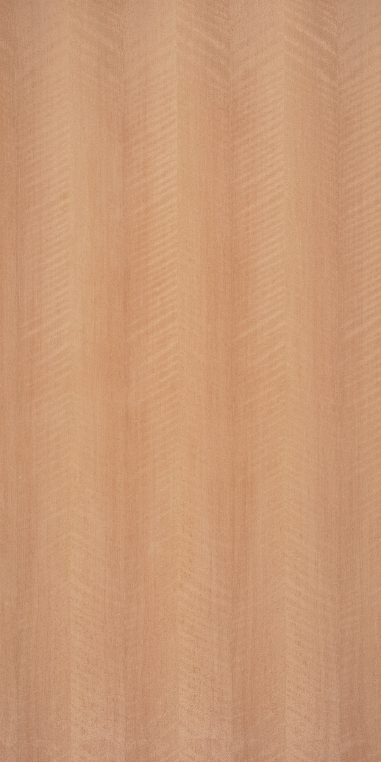 picture alternative text