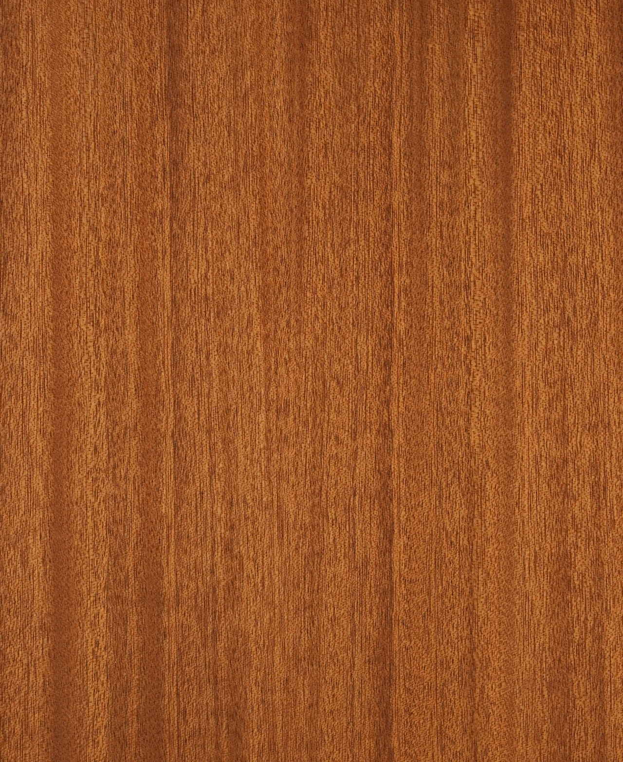 picture alternative text