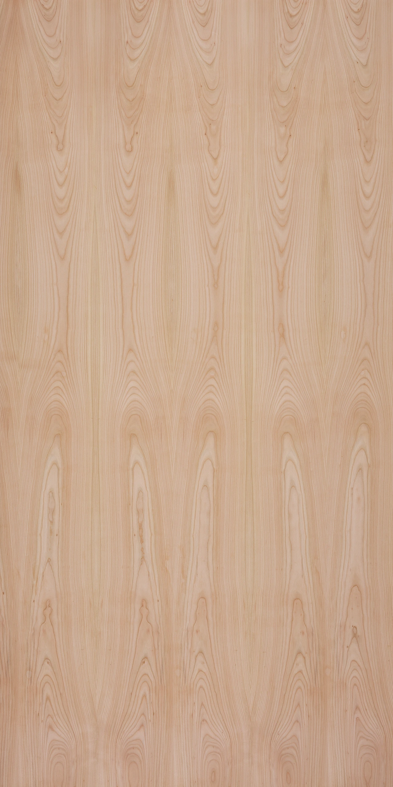 picture alternative text