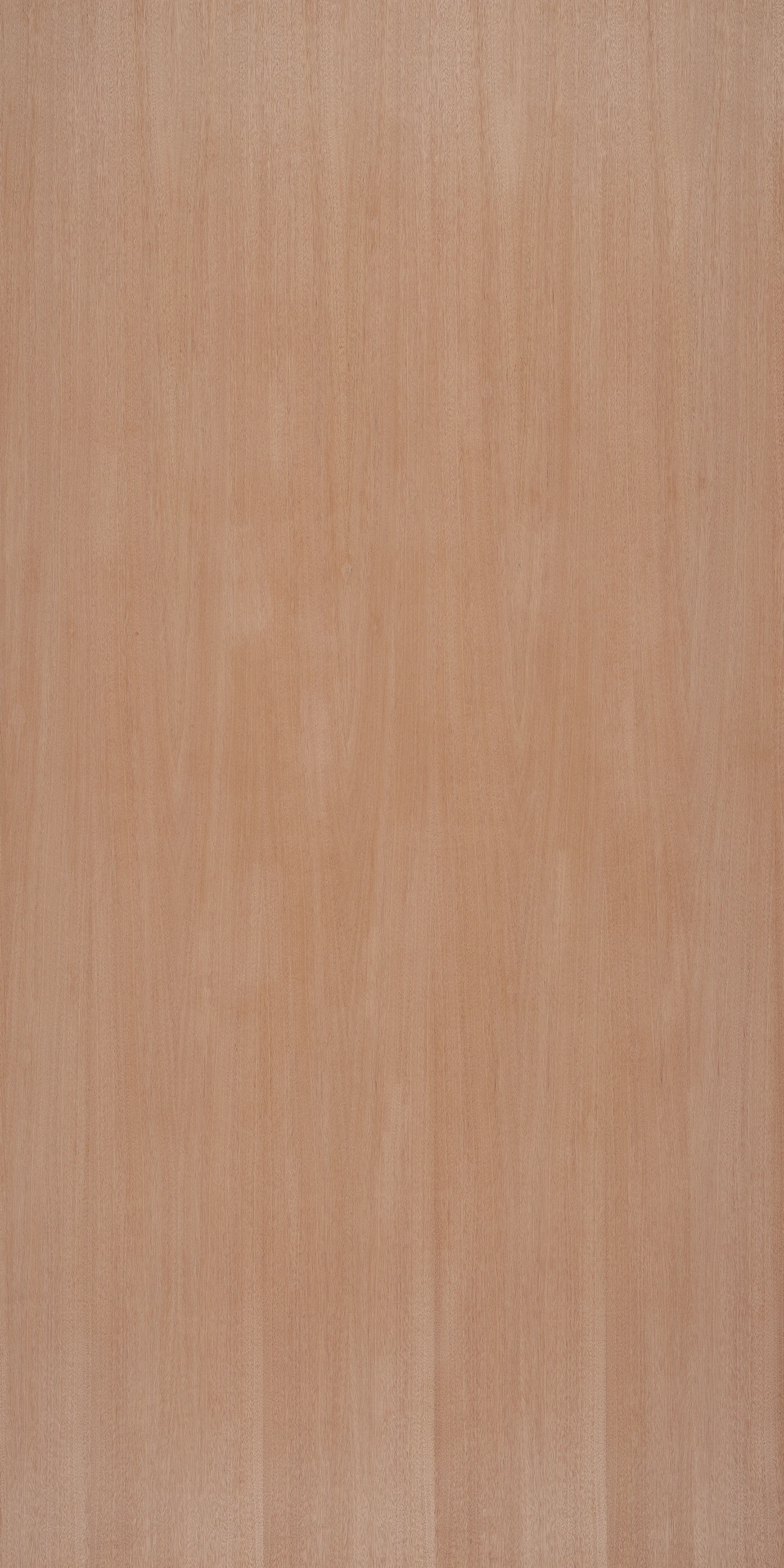 picture alternative text