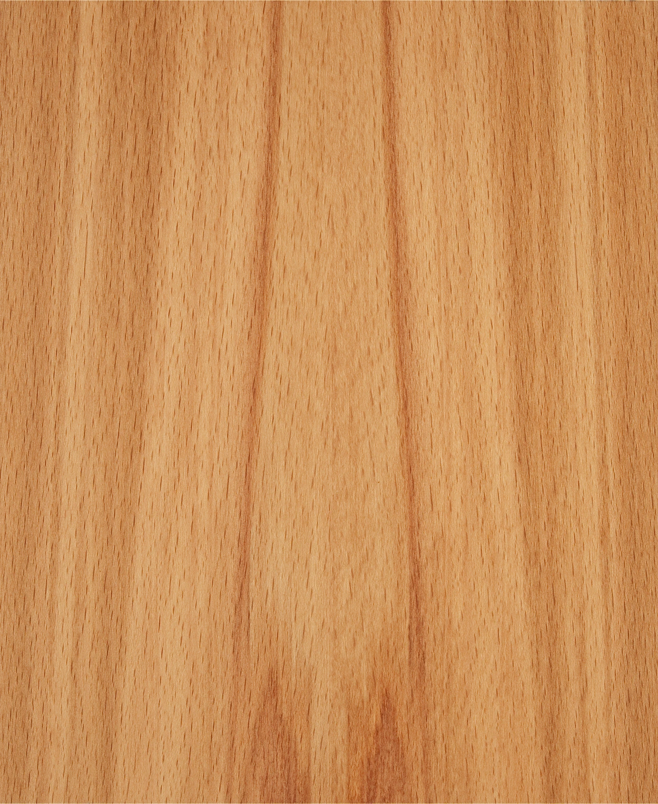 picture alternative text