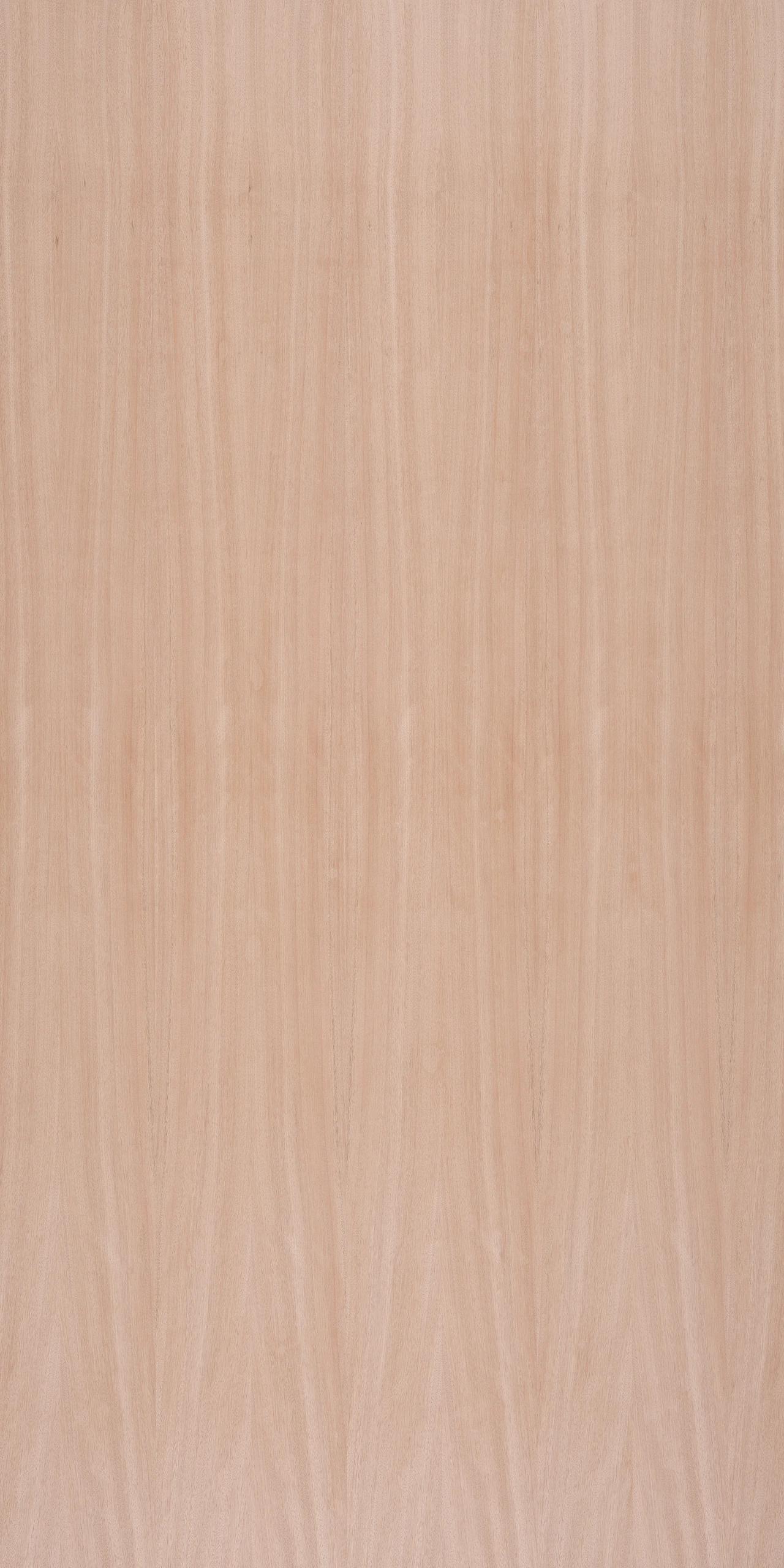 picture alternative text