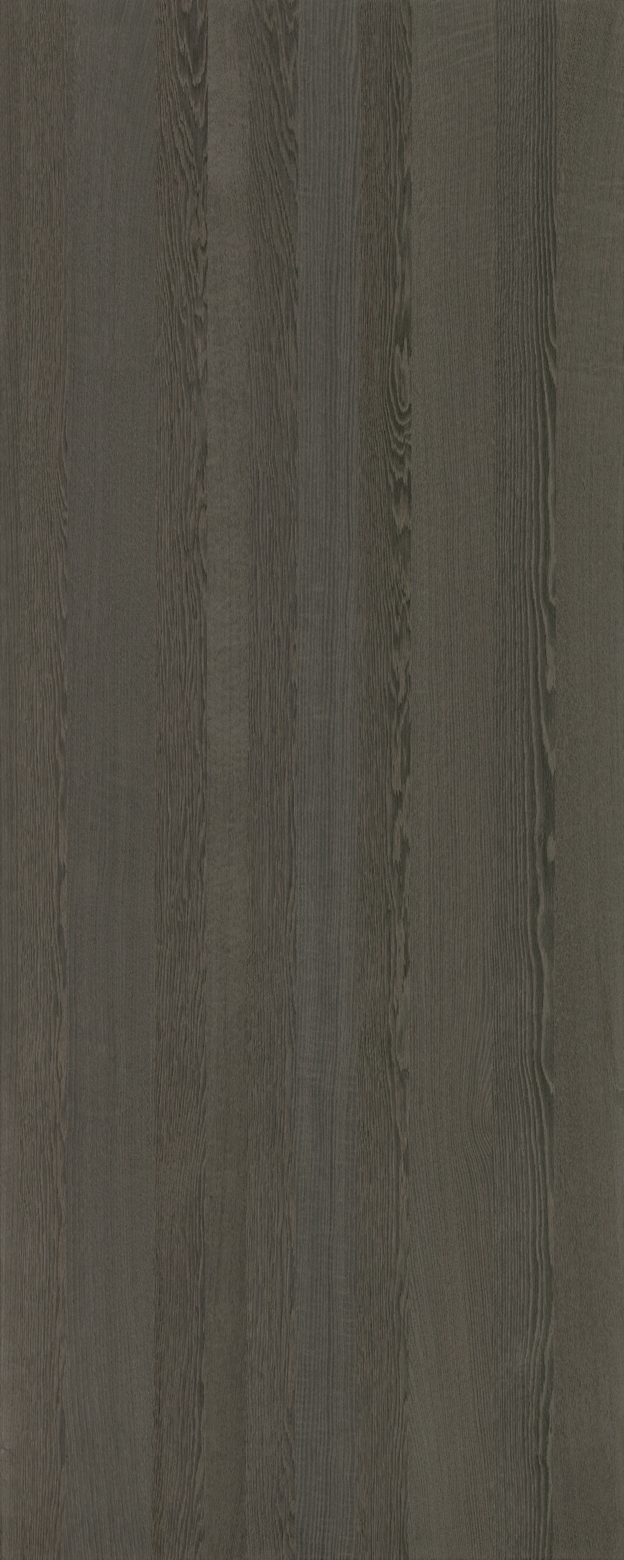 picture alternative text