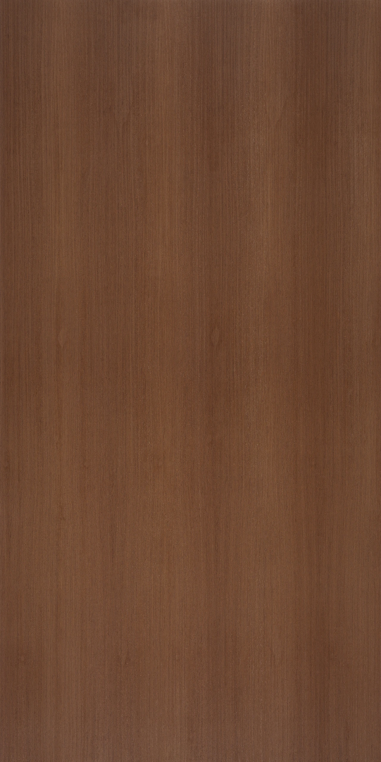 picture alternative text