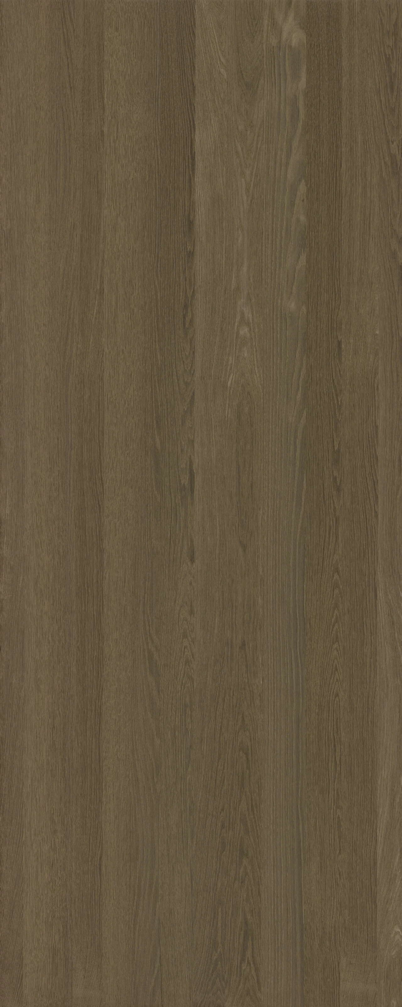 picture alternative text