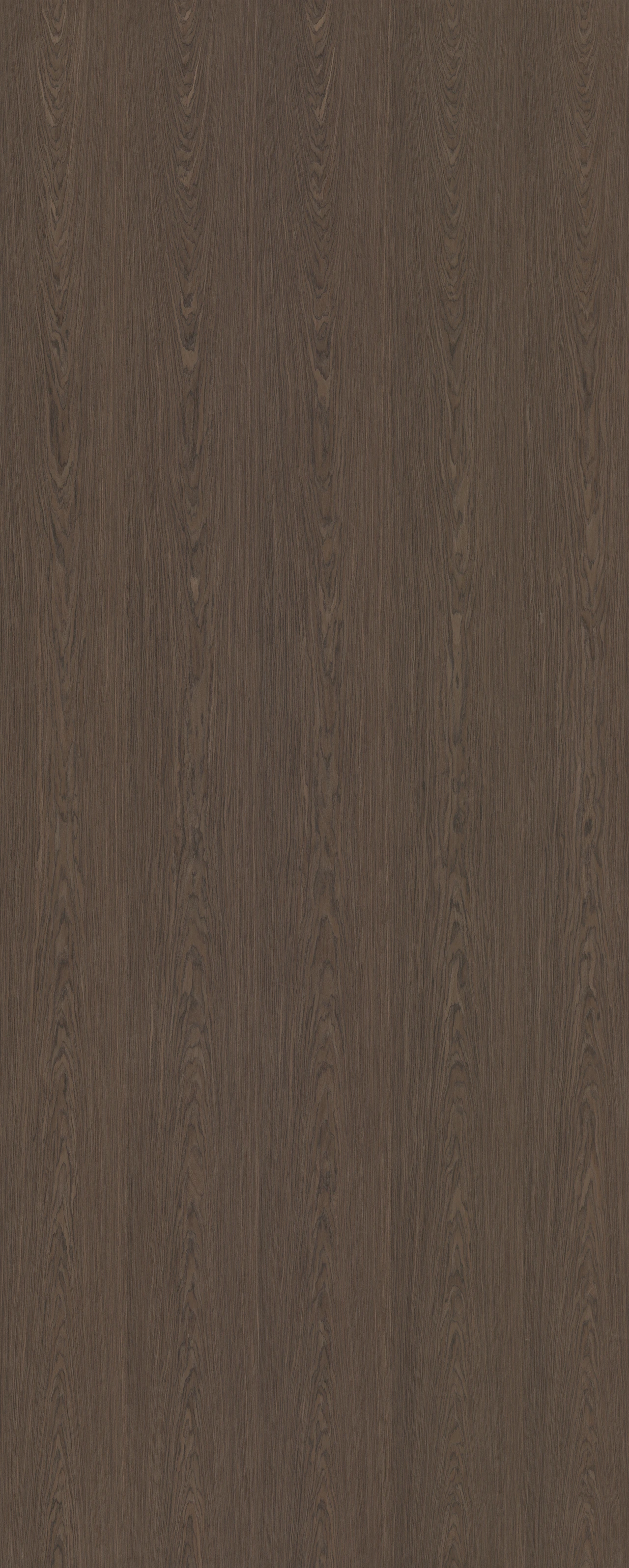 picture alternative text