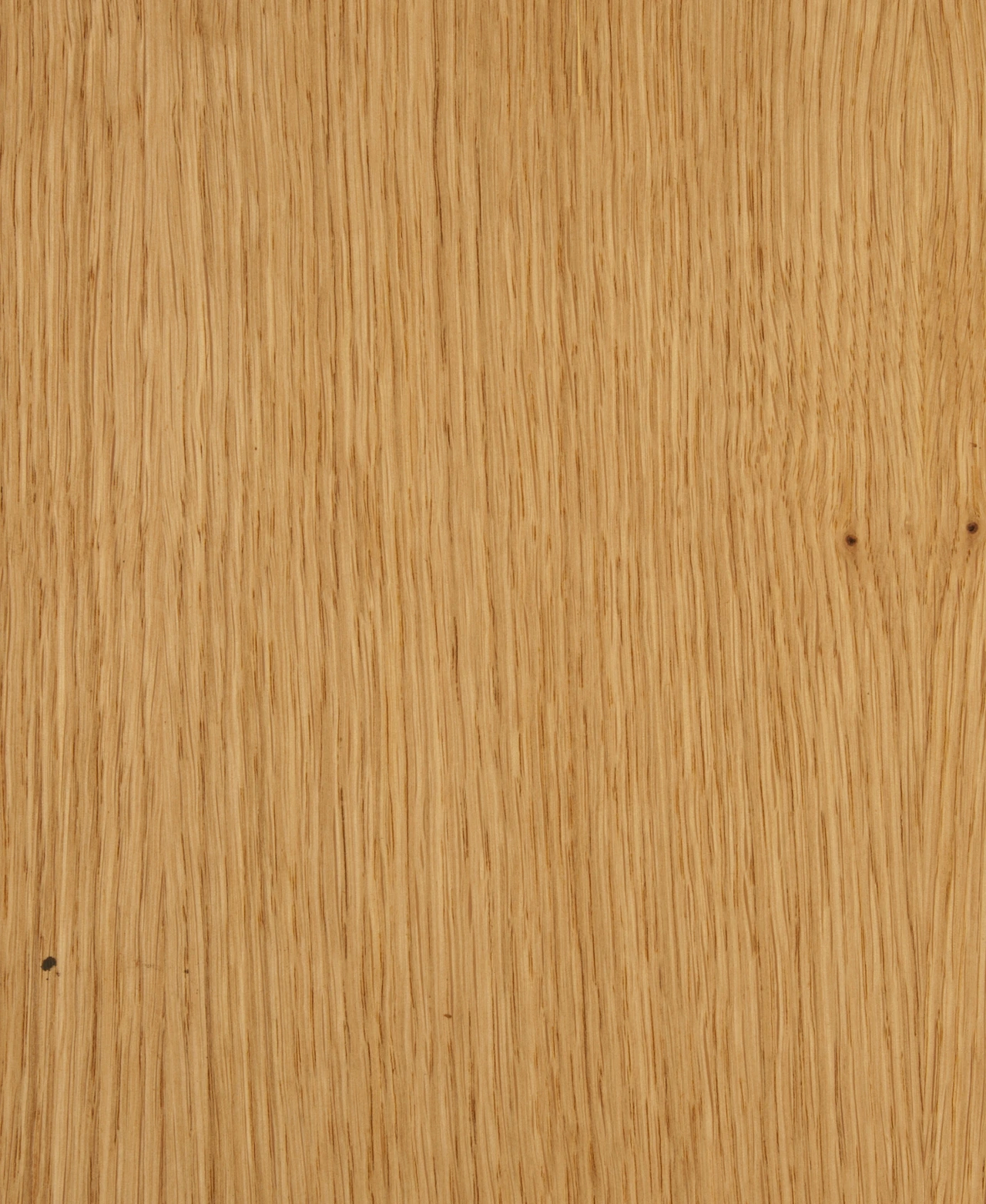 picture alternative text