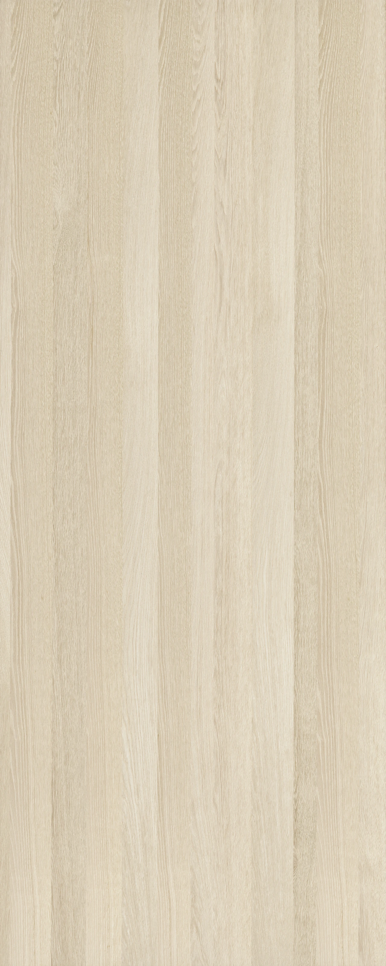 picture alternative text