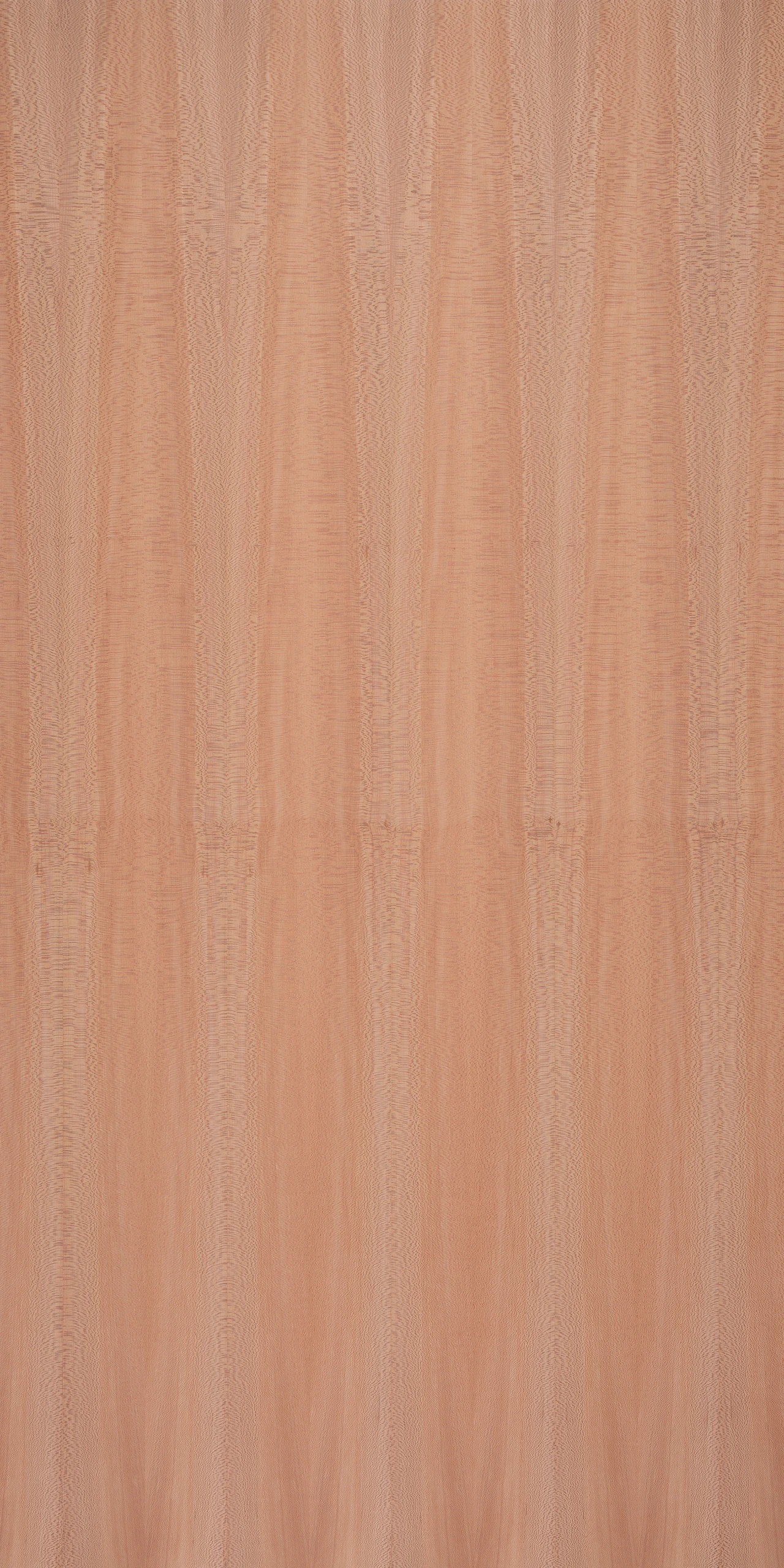 picture alternative text