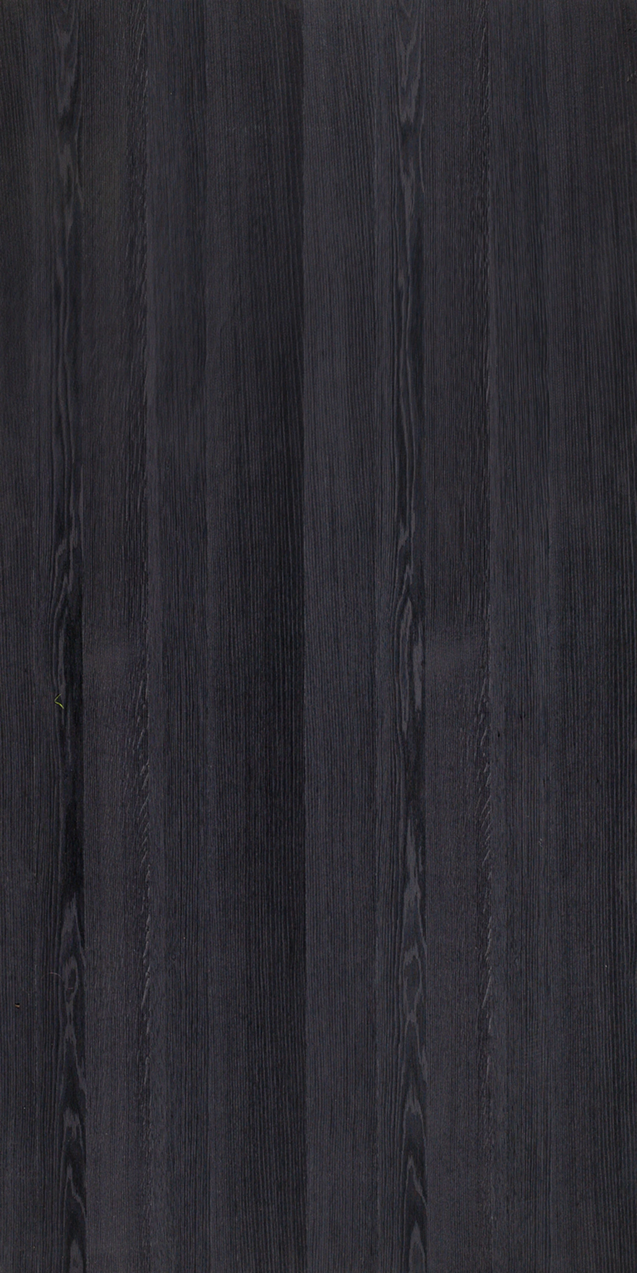 picture alternative text