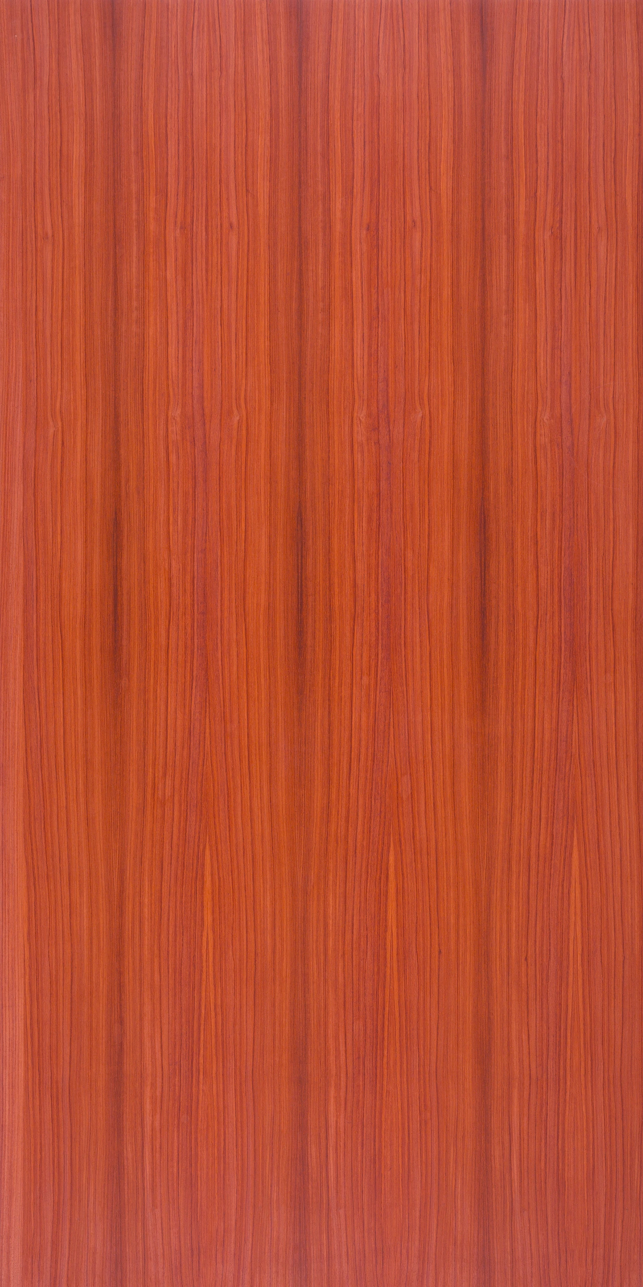 picture alternative text