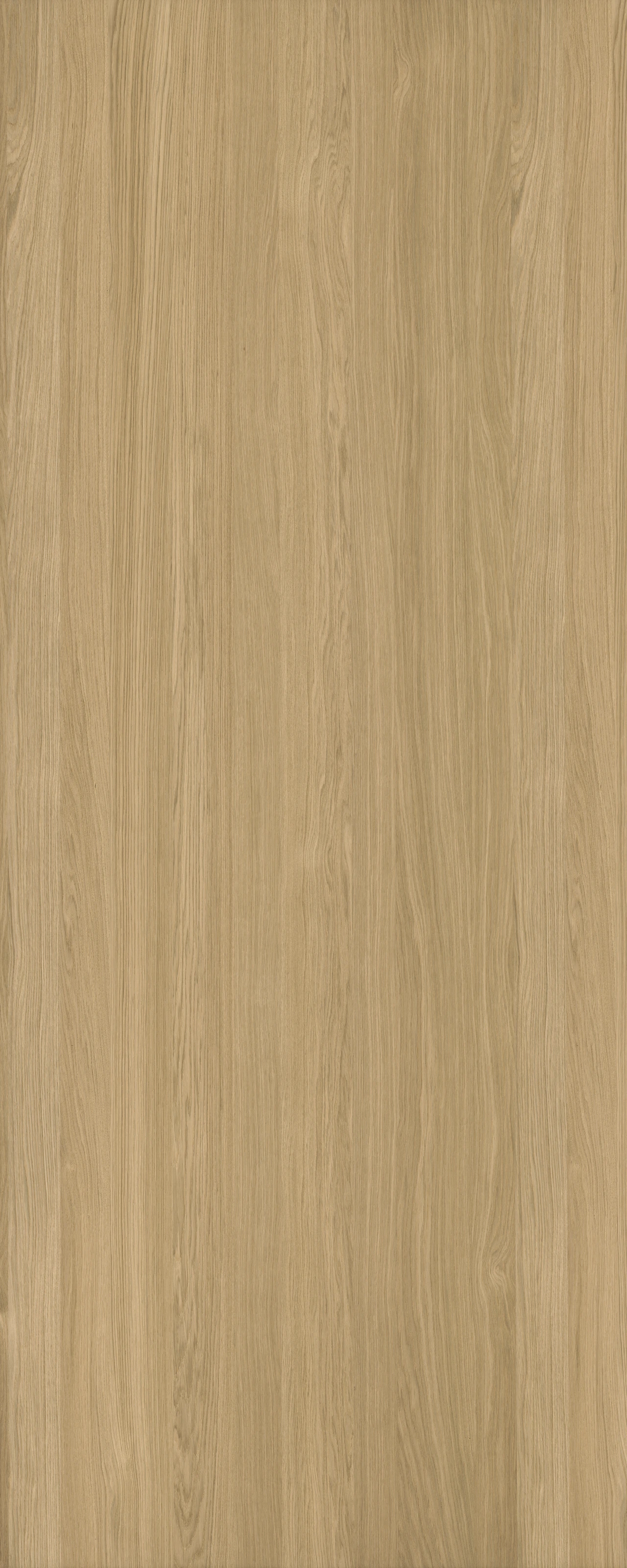 picture alternative text