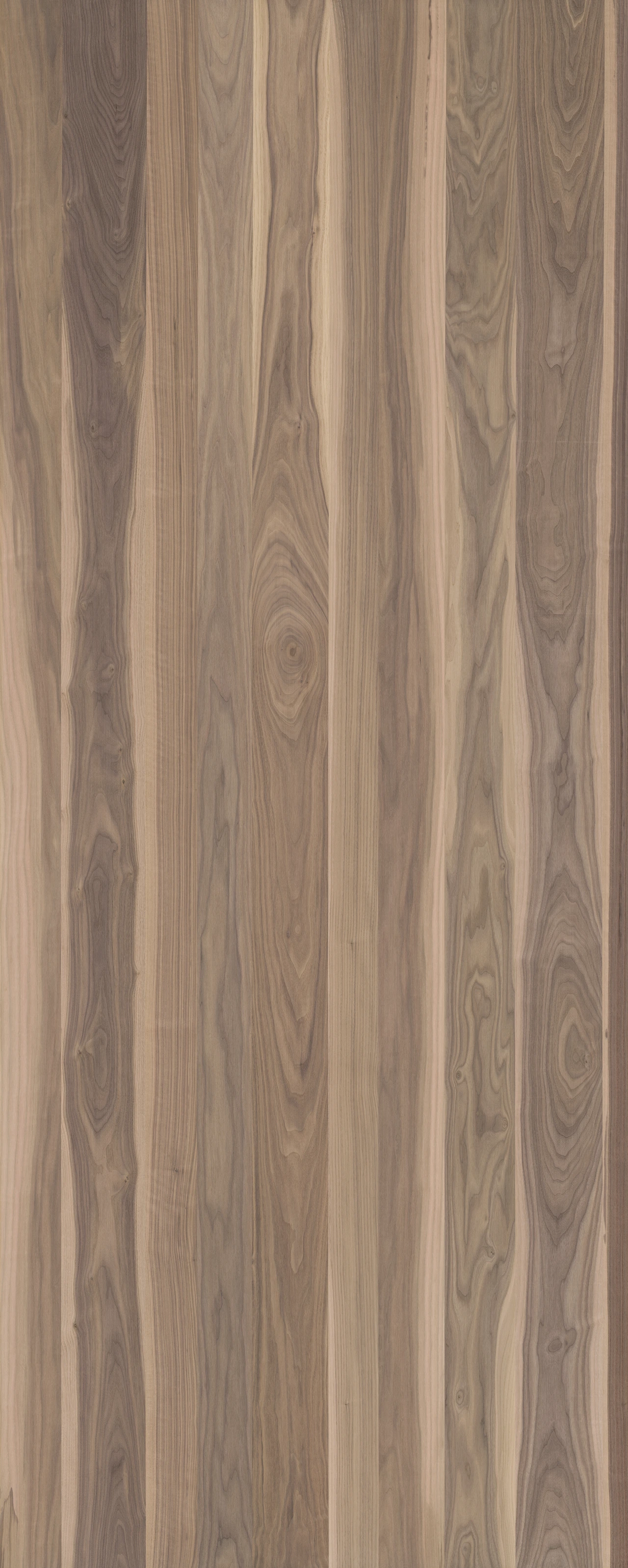 picture alternative text