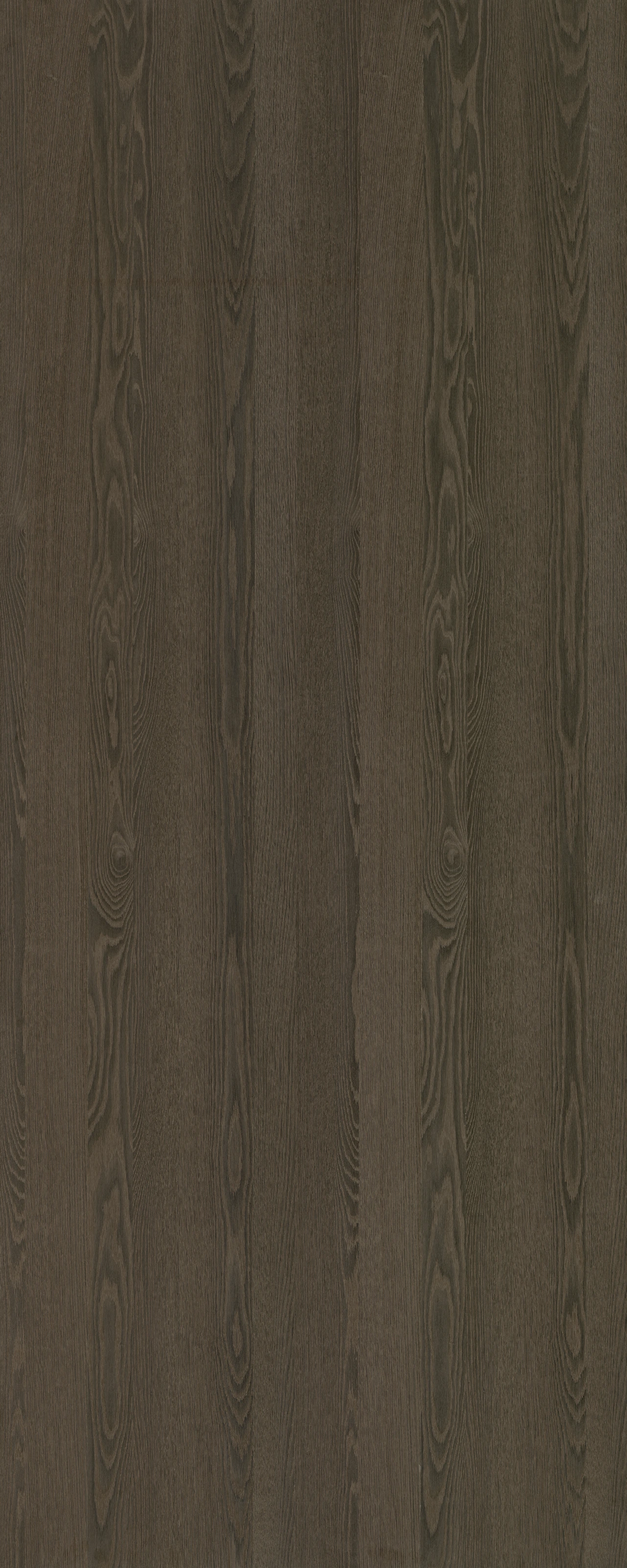 picture alternative text