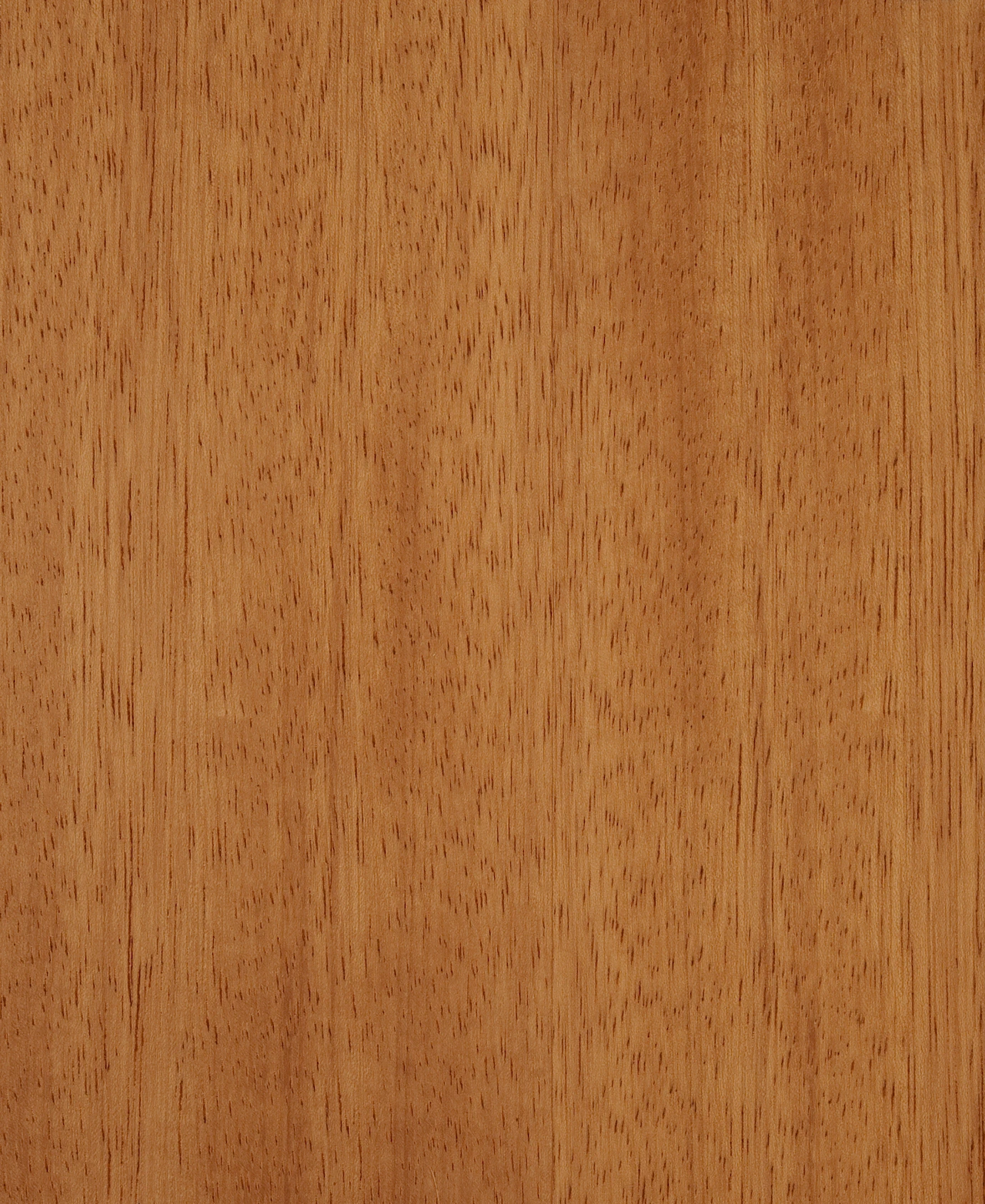 picture alternative text