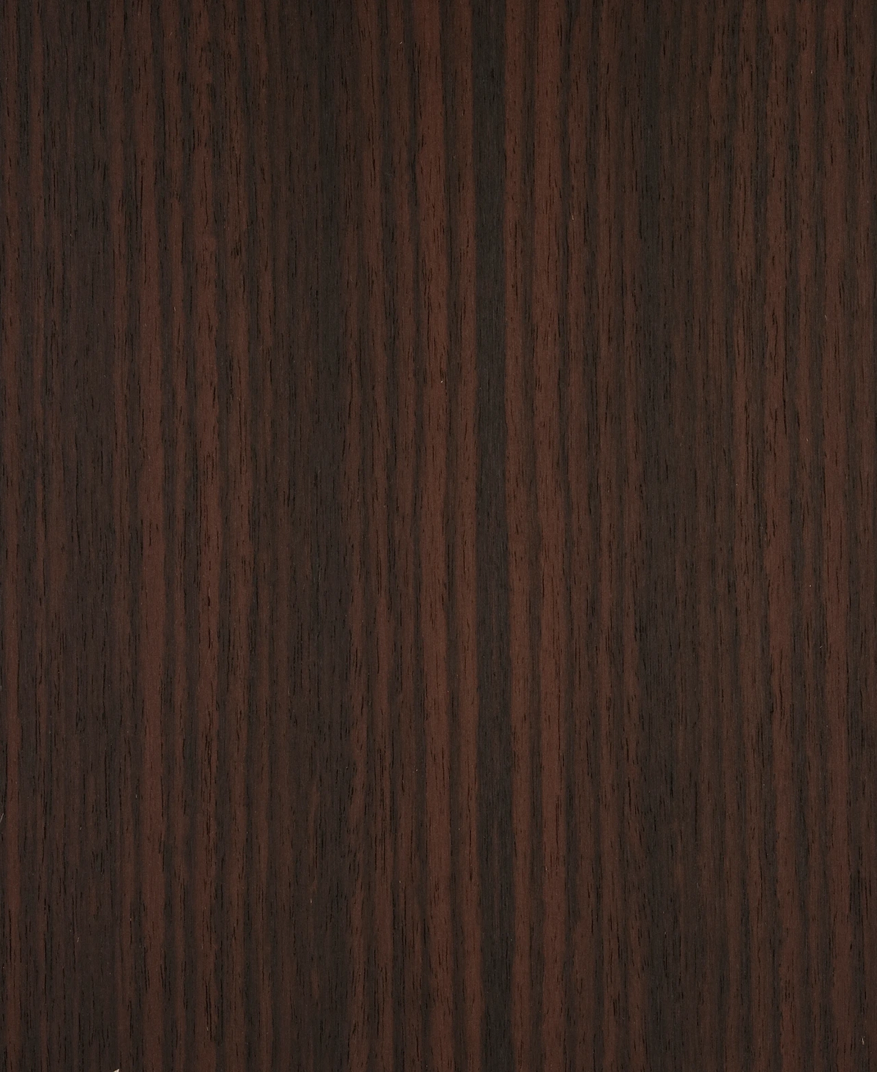 picture alternative text