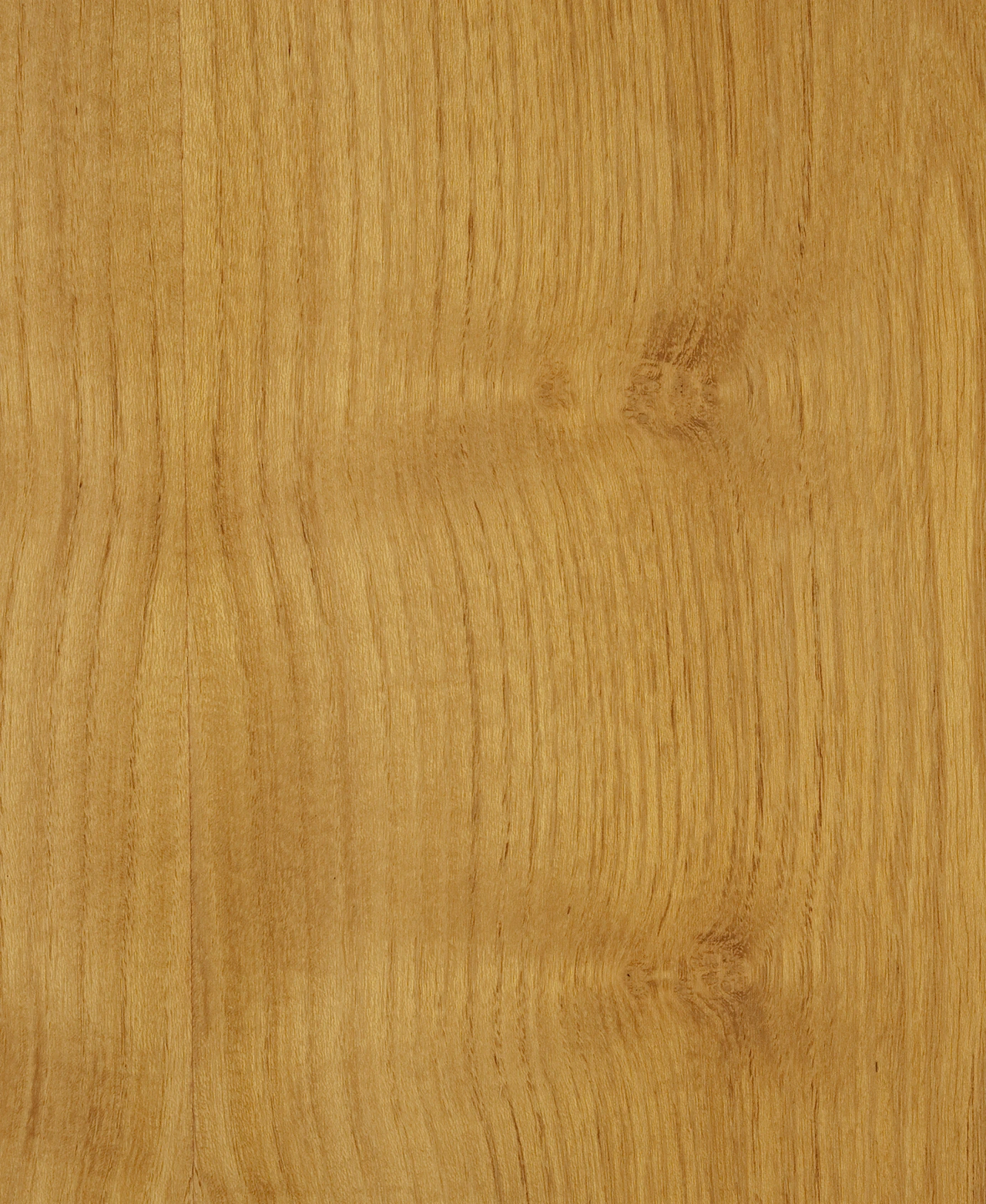 picture alternative text