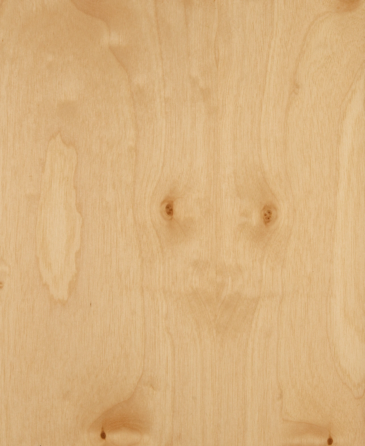 picture alternative text