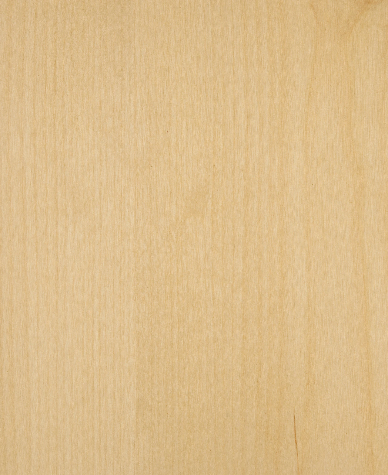 picture alternative text